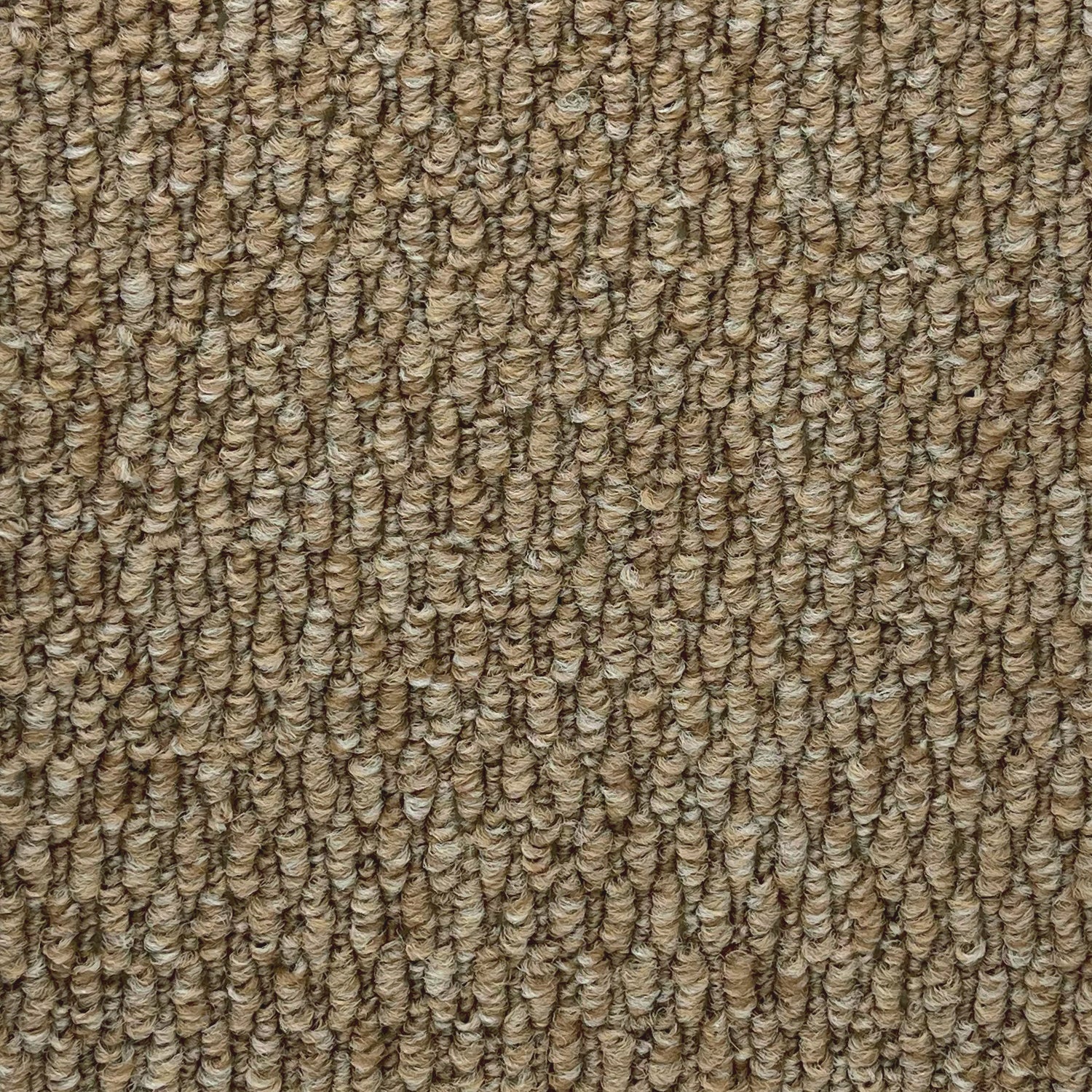 Furlong Flooring Gobi Loop Carpet
