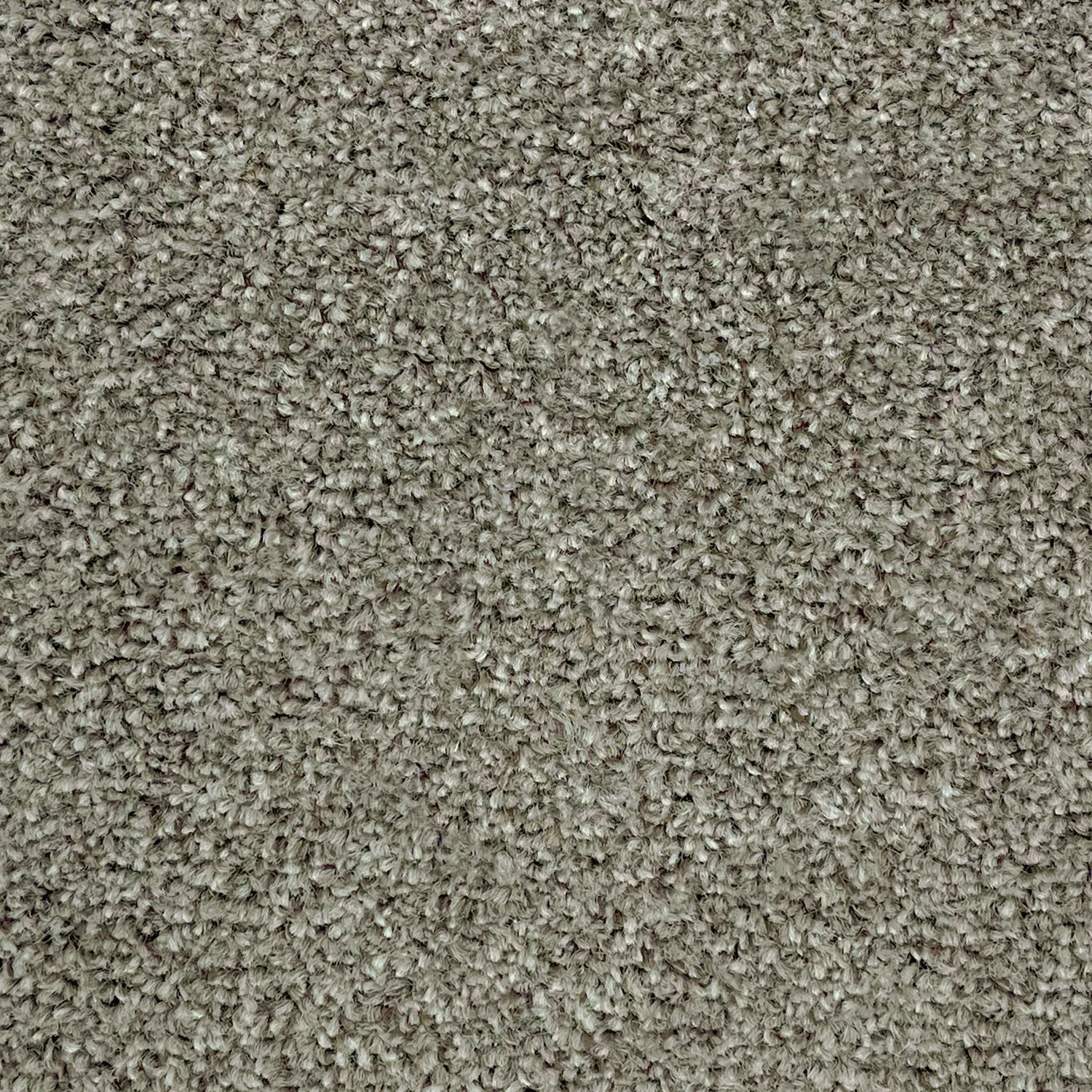 Furlong Flooring Revelation Twist Carpet