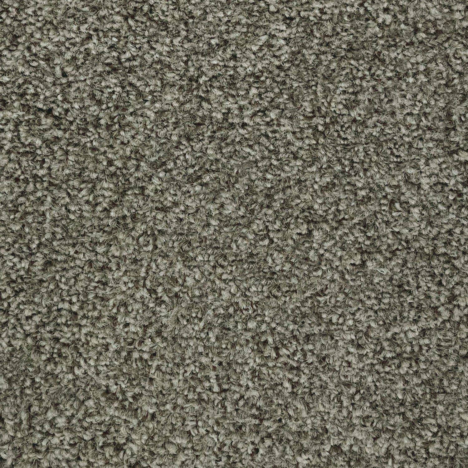 Furlong Flooring Revelation Twist Carpet