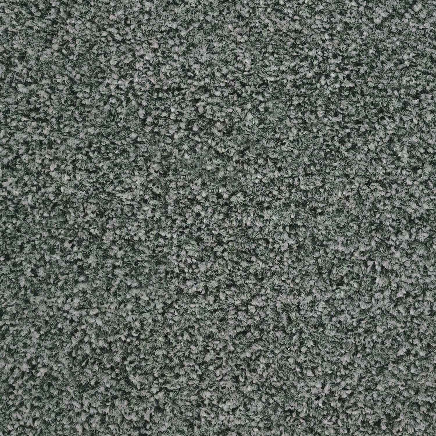 Furlong Flooring Revelation Twist Carpet