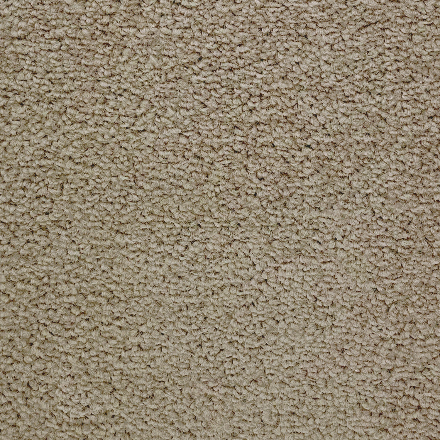Furlong Flooring Revelation Twist Carpet
