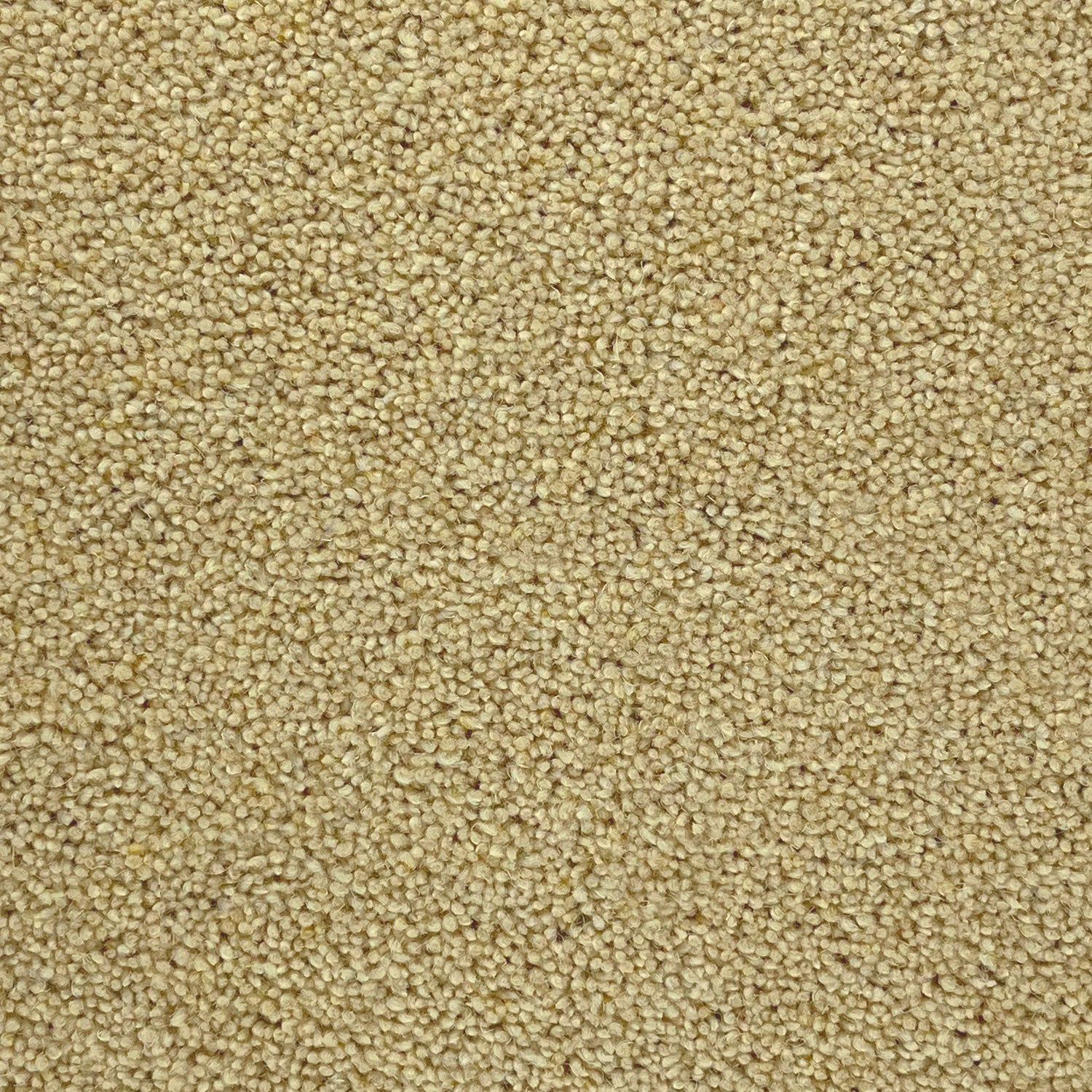Furlong Flooring Timeless Deluxe 80% Wool Blend Twist Carpet