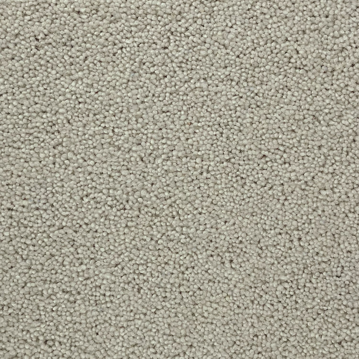 Furlong Flooring Timeless Deluxe 80% Wool Blend Twist Carpet