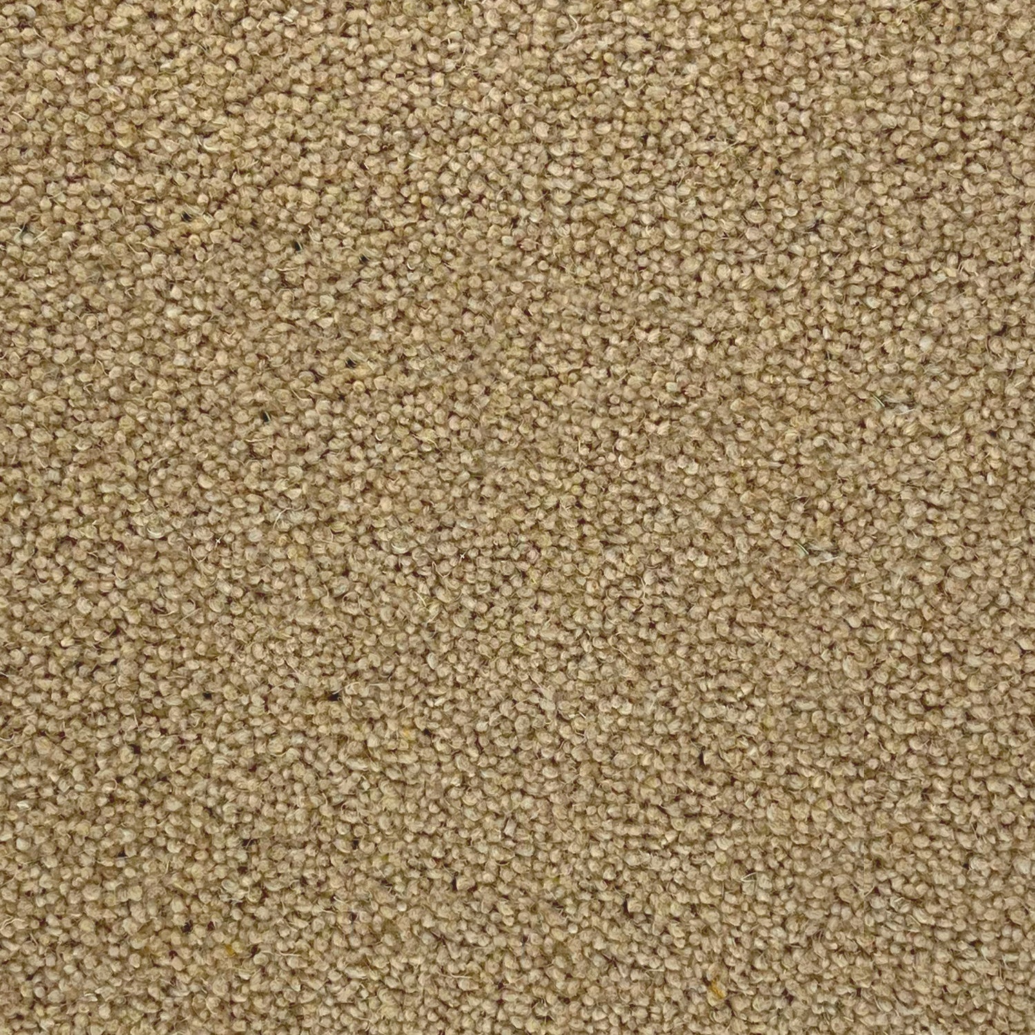 Furlong Flooring Timeless Deluxe 80% Wool Blend Twist Carpet