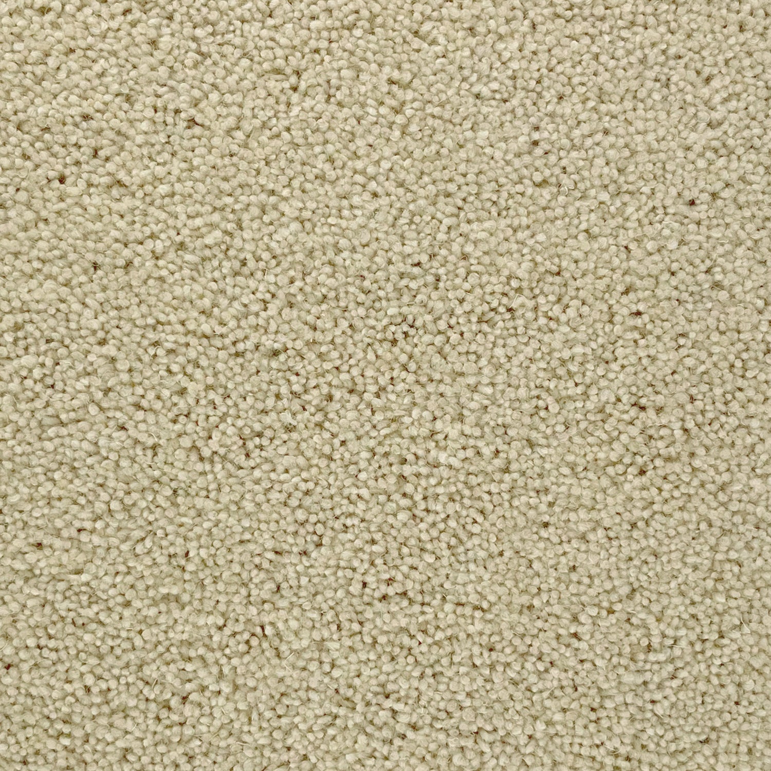 Furlong Flooring Timeless Deluxe 80% Wool Blend Twist Carpet