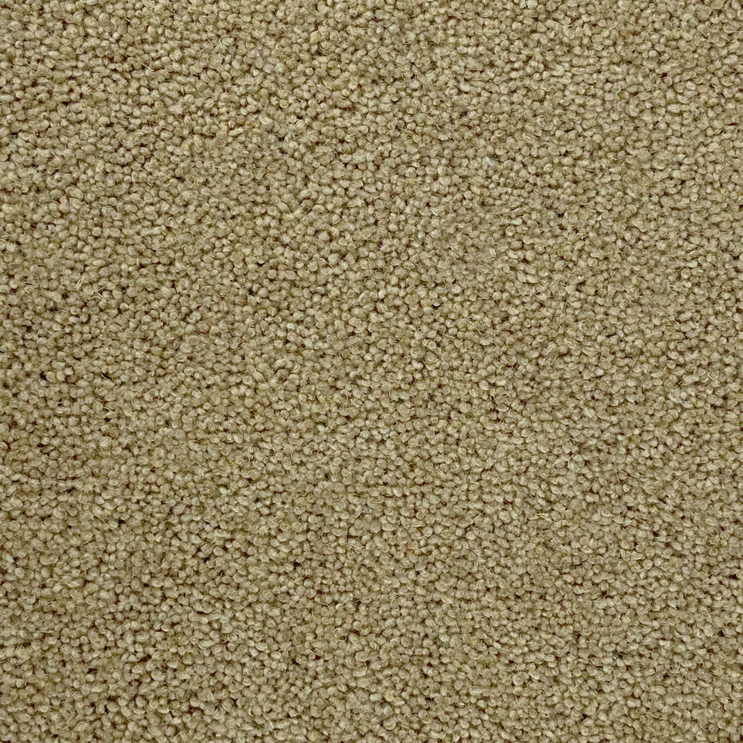 Furlong Flooring Timeless Deluxe 80% Wool Blend Twist Carpet