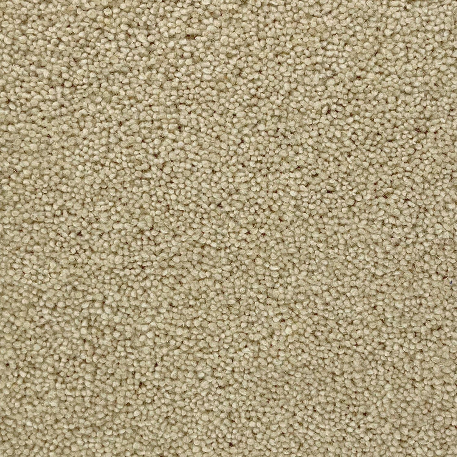 Furlong Flooring Timeless Deluxe 80% Wool Blend Twist Carpet