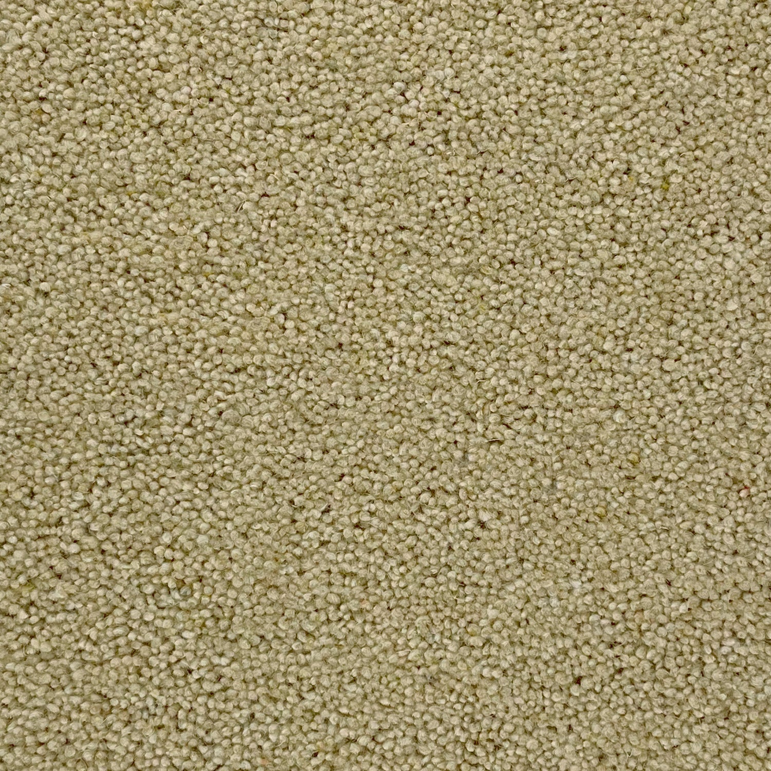Furlong Flooring Timeless Deluxe 80% Wool Blend Twist Carpet