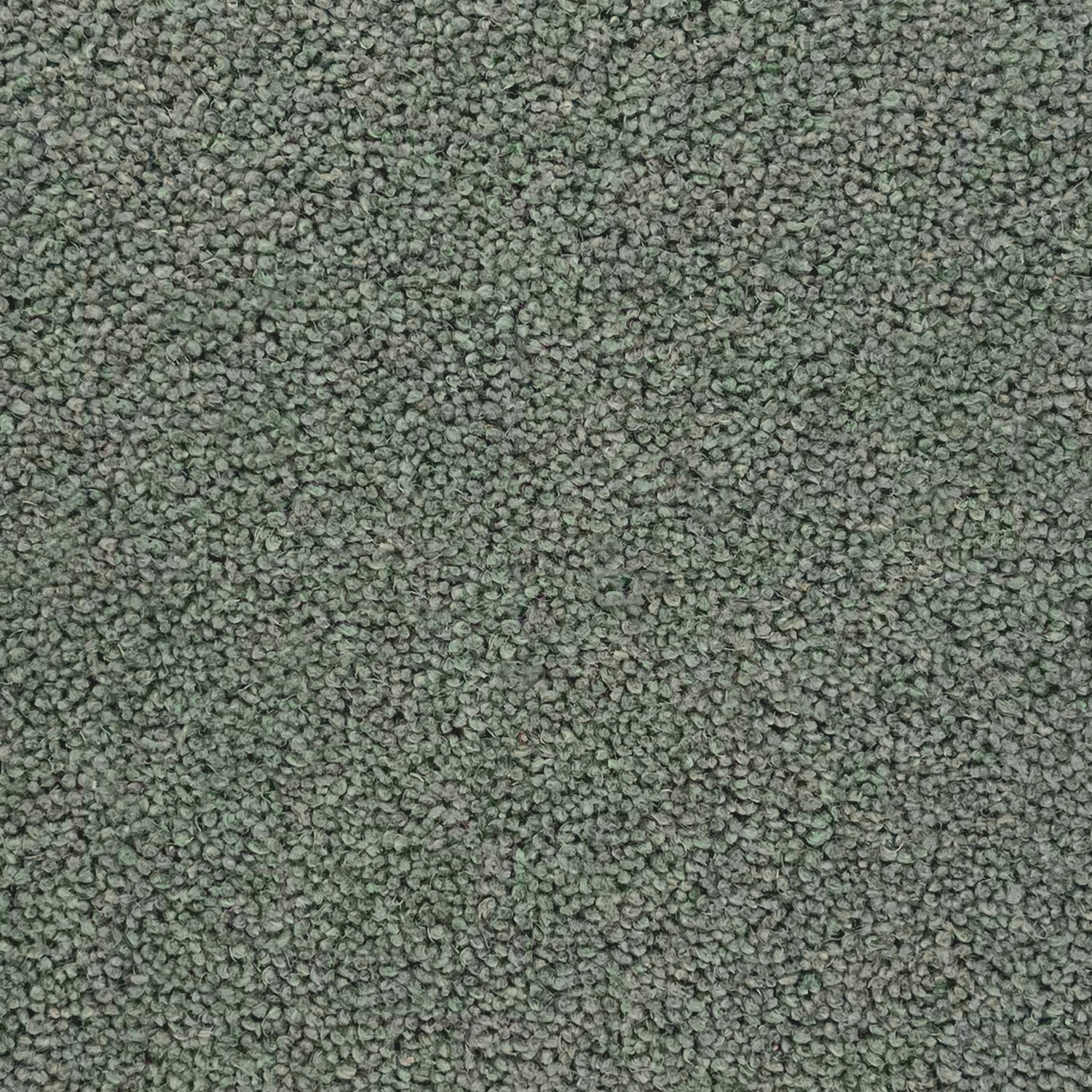 Furlong Flooring Timeless Deluxe 80% Wool Blend Twist Carpet