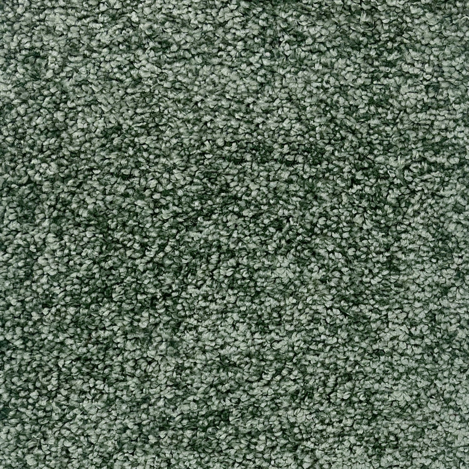 Associated Weavers Gaia Indus Twist Carpet