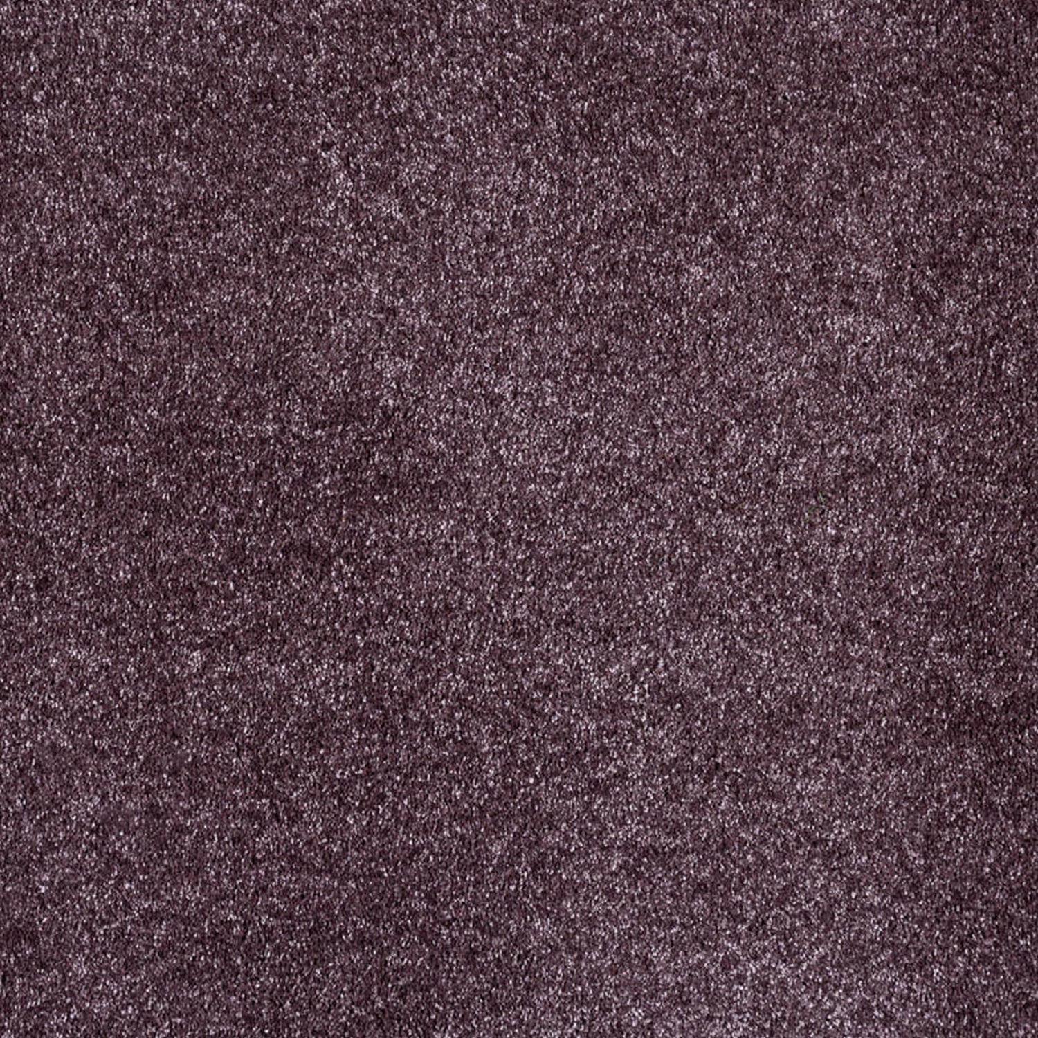 Associated Weavers Gaia Yukon Saxony Carpet