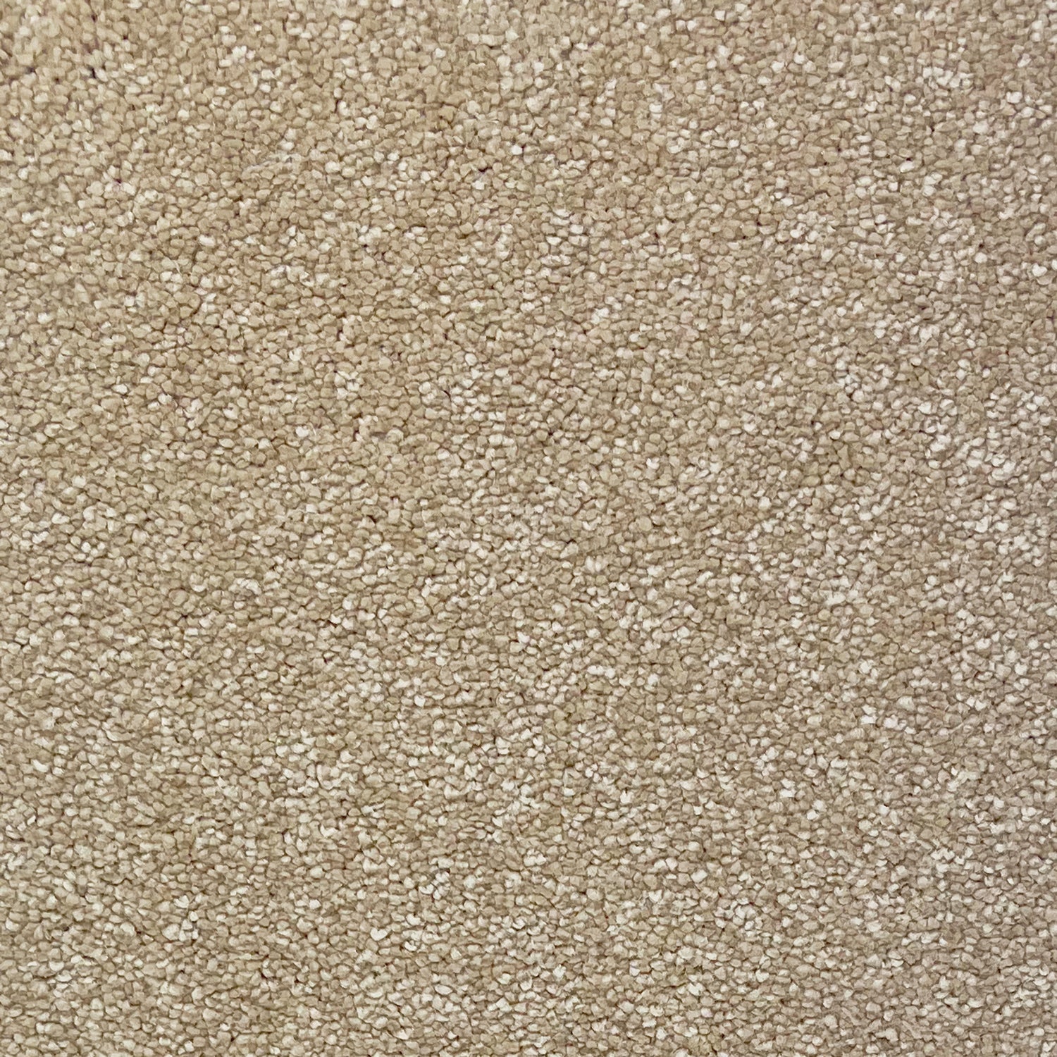 Hugh Mackay Camden Finesse Saxony Carpet