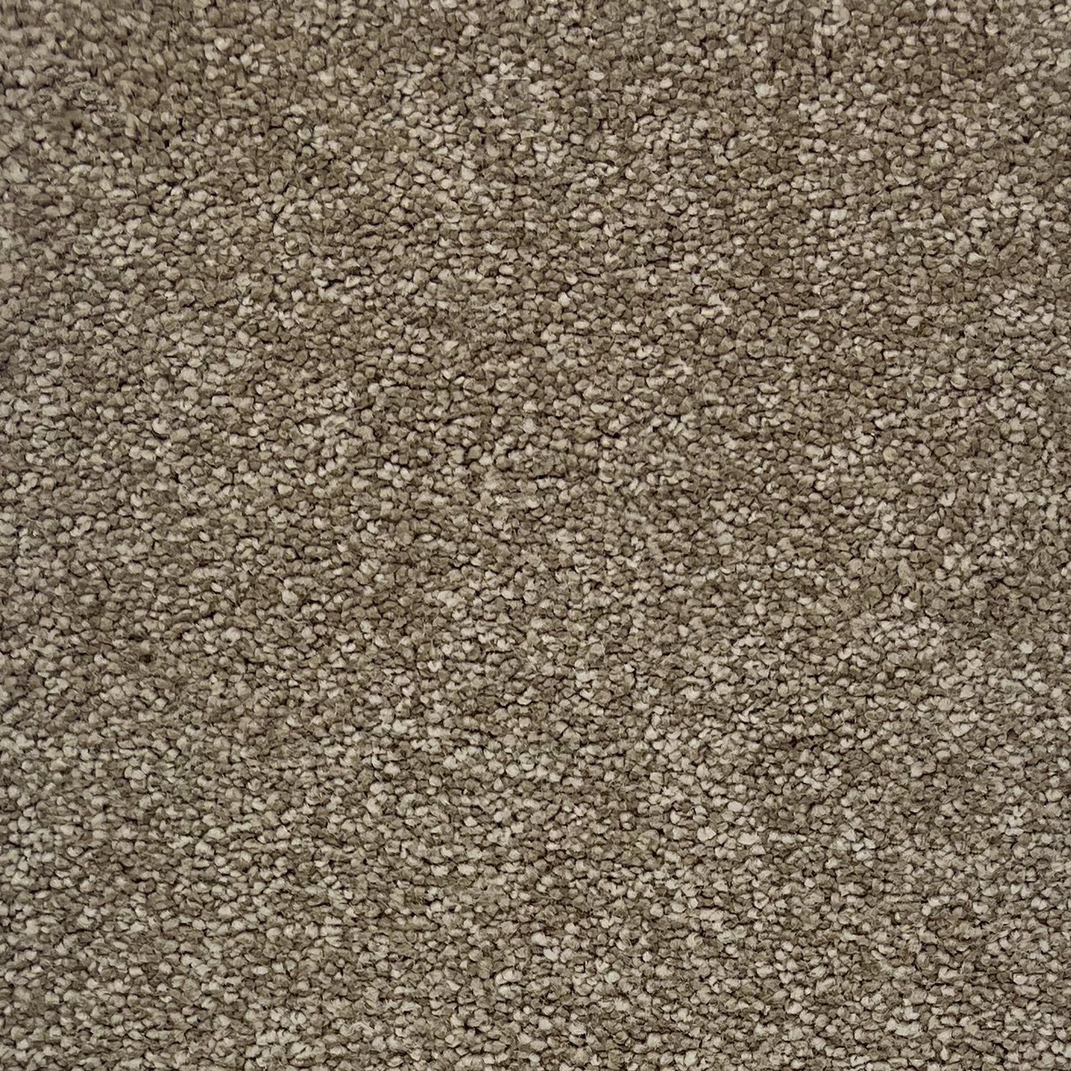 Hugh Mackay Camden Finesse Saxony Carpet