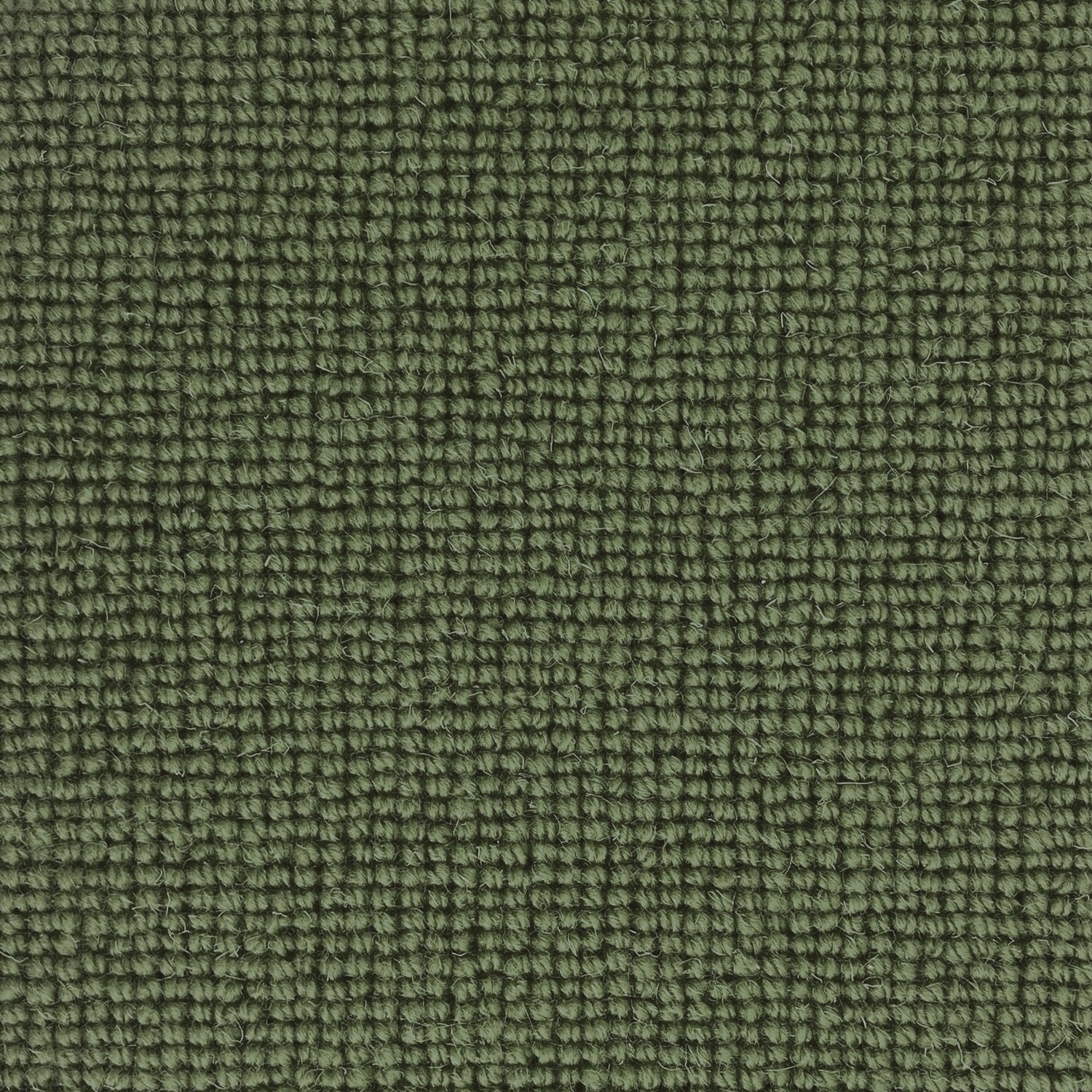 Hugh Mackay Deco Plain 100% Wool Loop Carpet