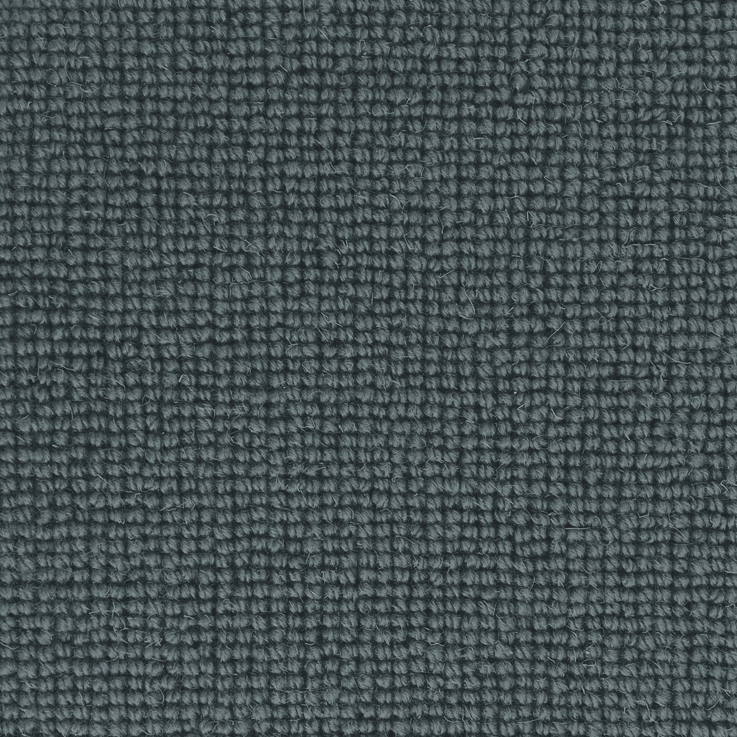 Hugh Mackay Deco Plain 100% Wool Loop Carpet