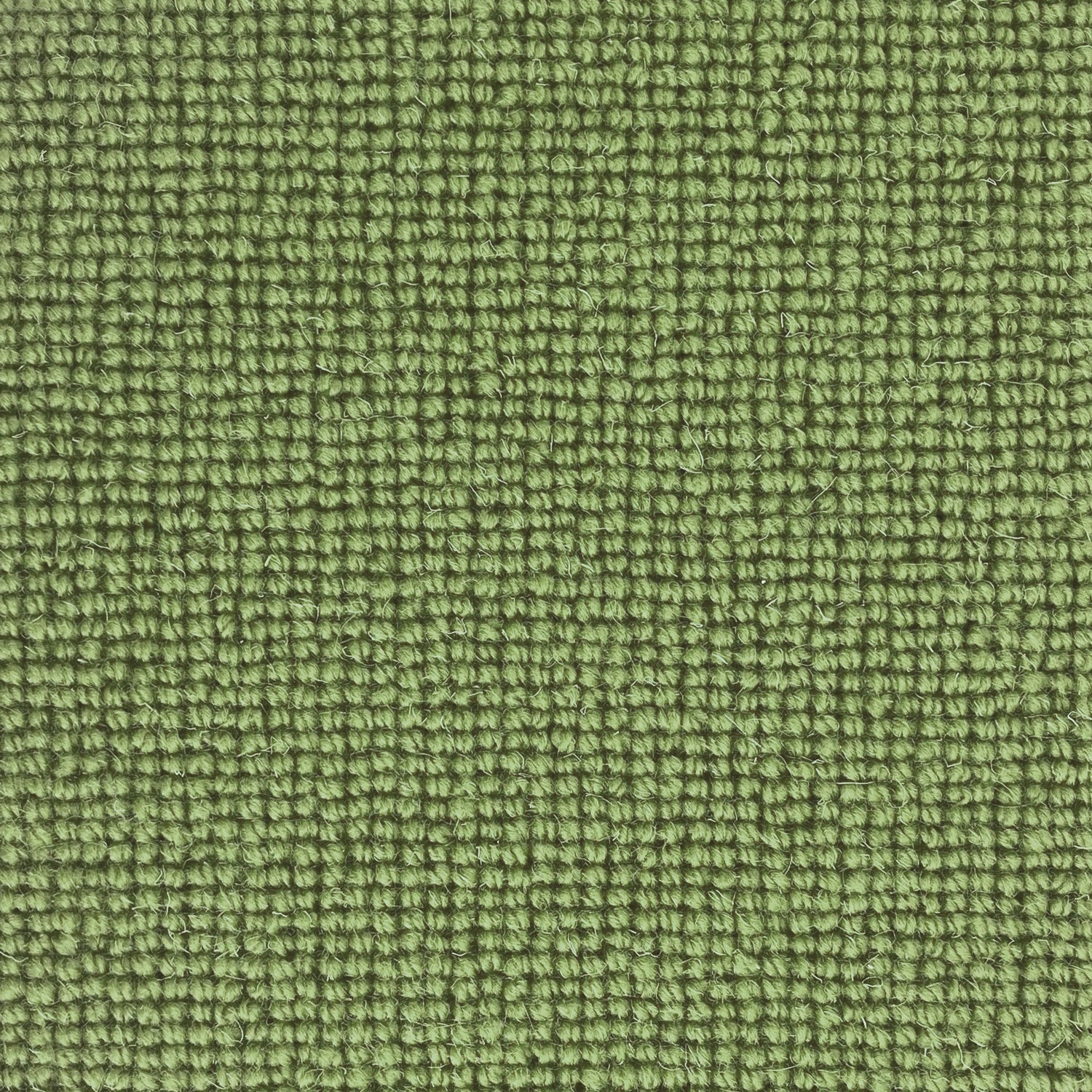 Hugh Mackay Deco Plain 100% Wool Loop Carpet