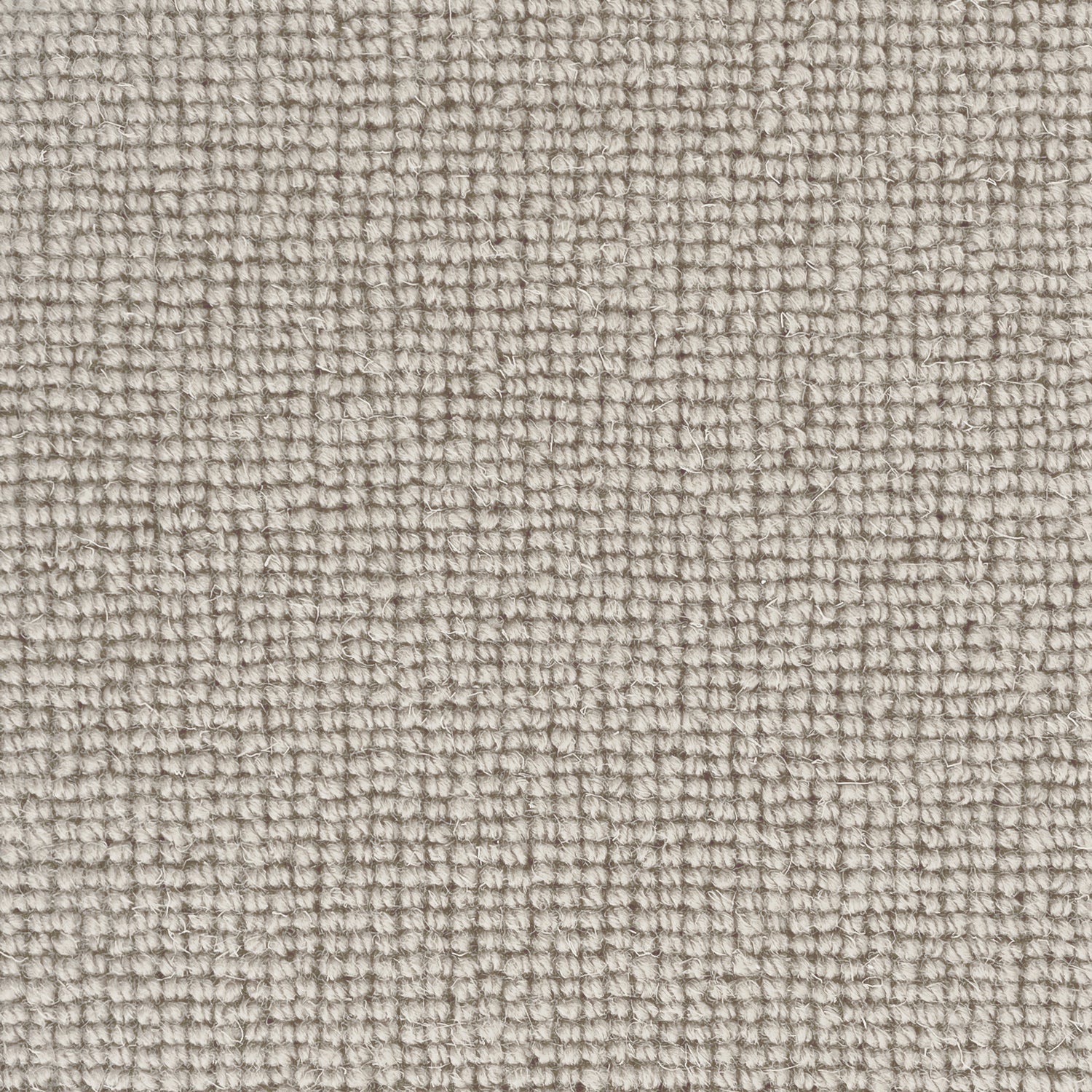 Hugh Mackay Deco Plain 100% Wool Loop Carpet