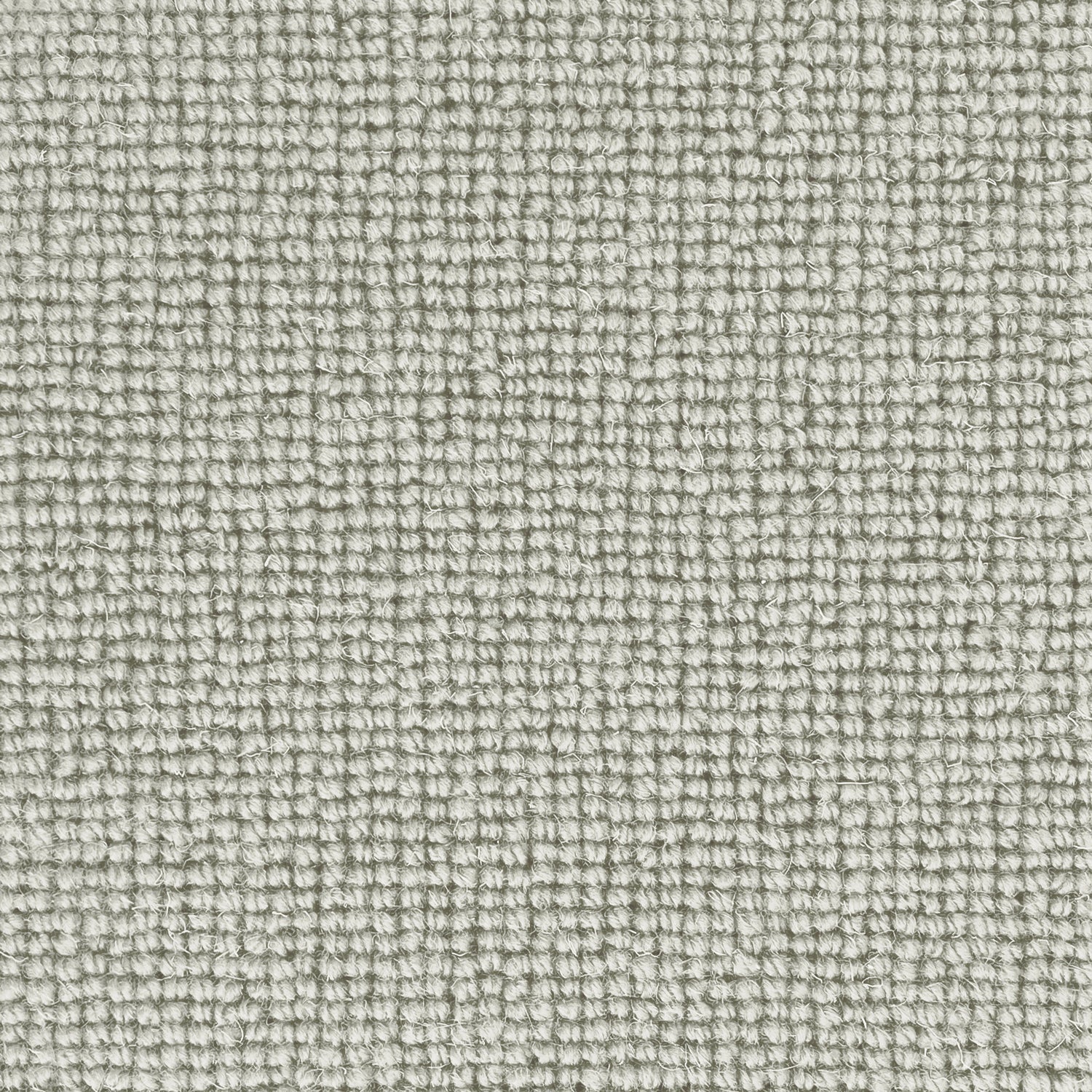 Hugh Mackay Deco Plain 100% Wool Loop Carpet