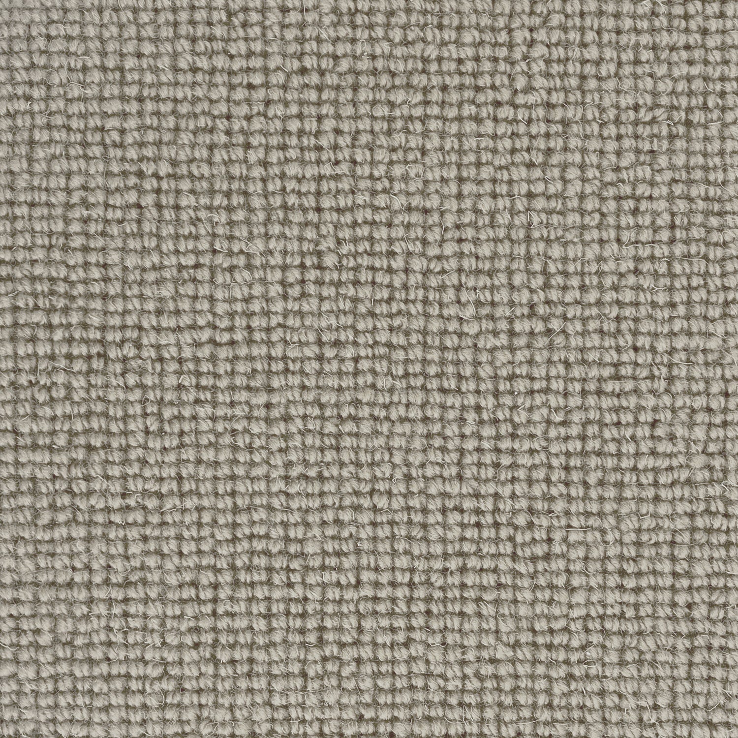 Hugh Mackay Deco Plain 100% Wool Loop Carpet