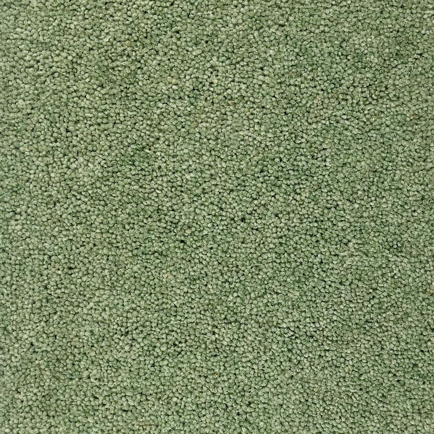 Hugh Mackay 50oz Durham Twist Colours 80% Wool Blend Twist Carpet