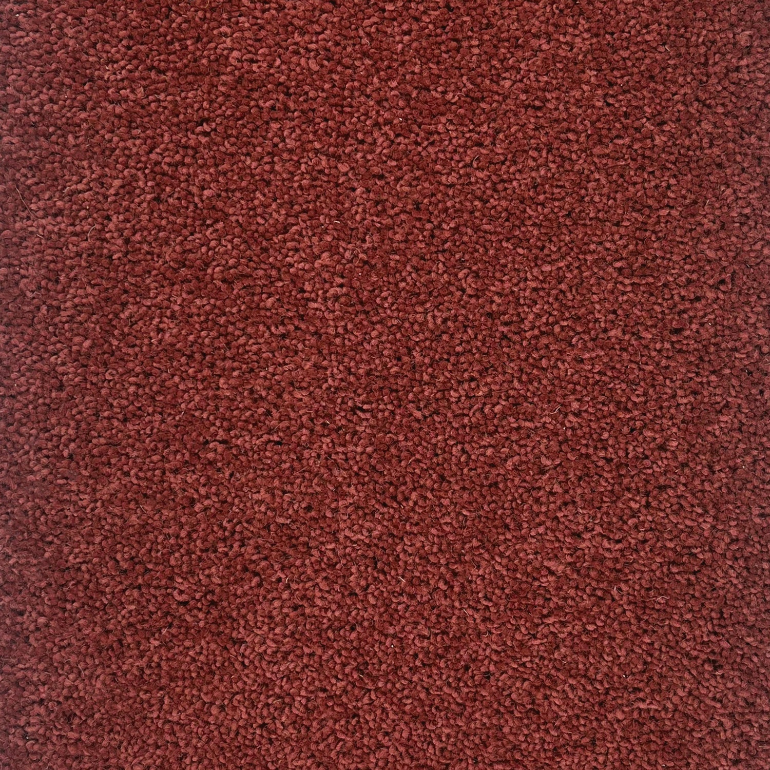 Hugh Mackay 40oz Durham Twist Colours 80% Wool Blend Twist Carpet