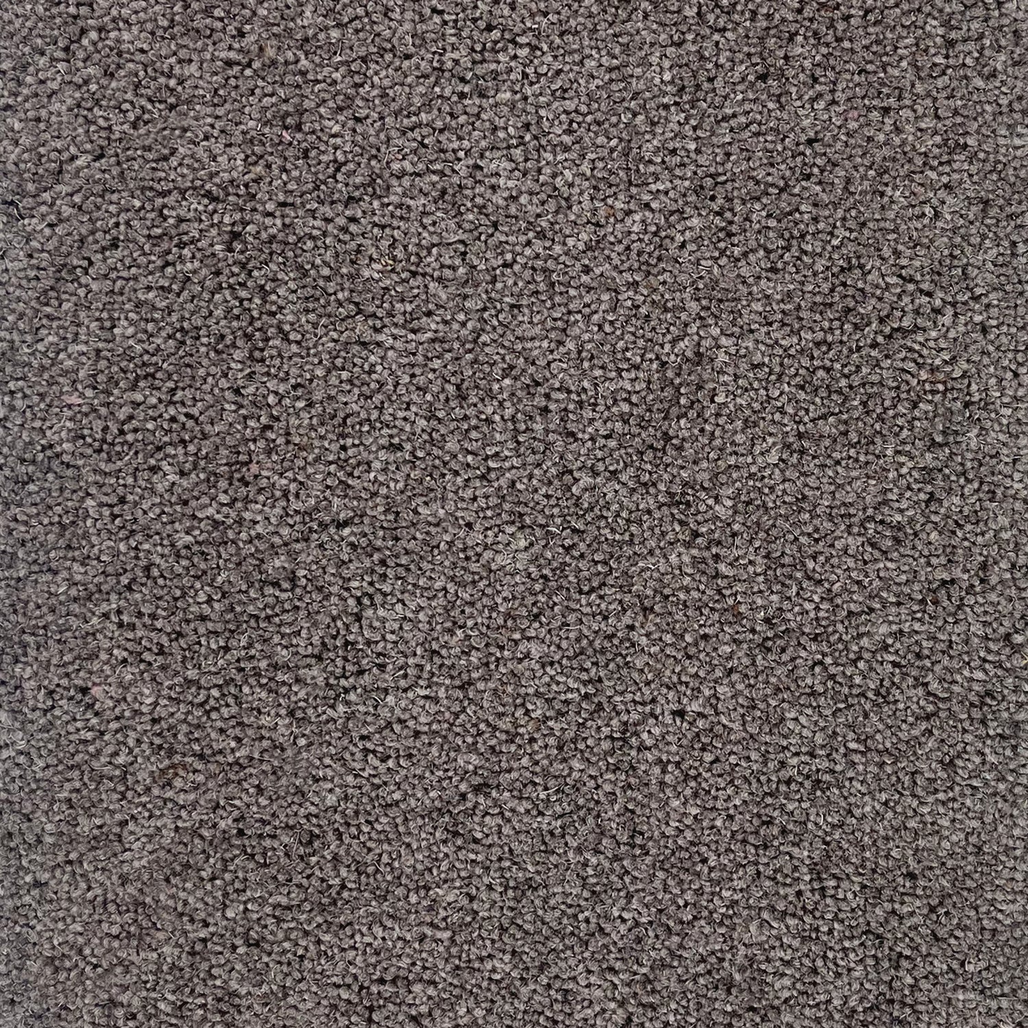 Hugh Mackay 40oz Durham Twist Colours 80% Wool Blend Twist Carpet