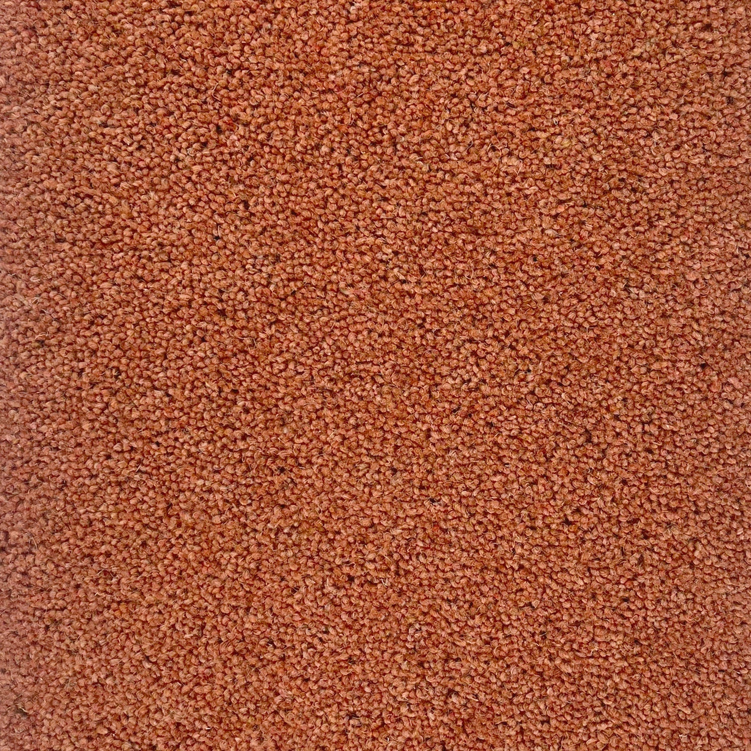 Hugh Mackay 50oz Durham Twist Colours 80% Wool Blend Twist Carpet