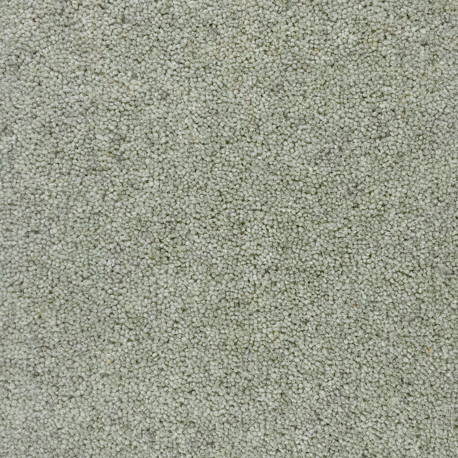 Hugh Mackay 50oz Durham Twist Elements 80% Wool Blend Twist Carpet