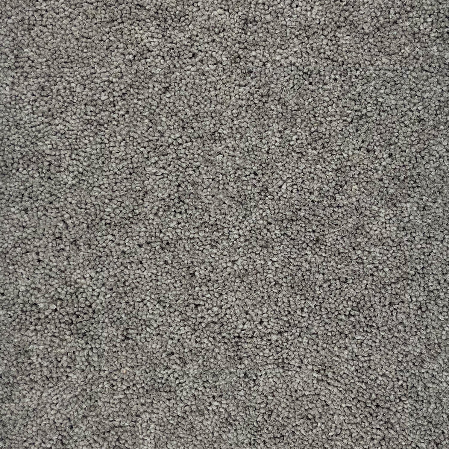 Hugh Mackay 50oz Durham Twist Elements 80% Wool Blend Twist Carpet