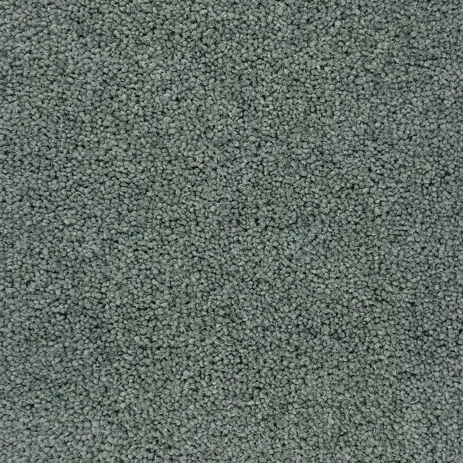 Hugh Mackay 50oz Durham Twist Elements 80% Wool Blend Twist Carpet