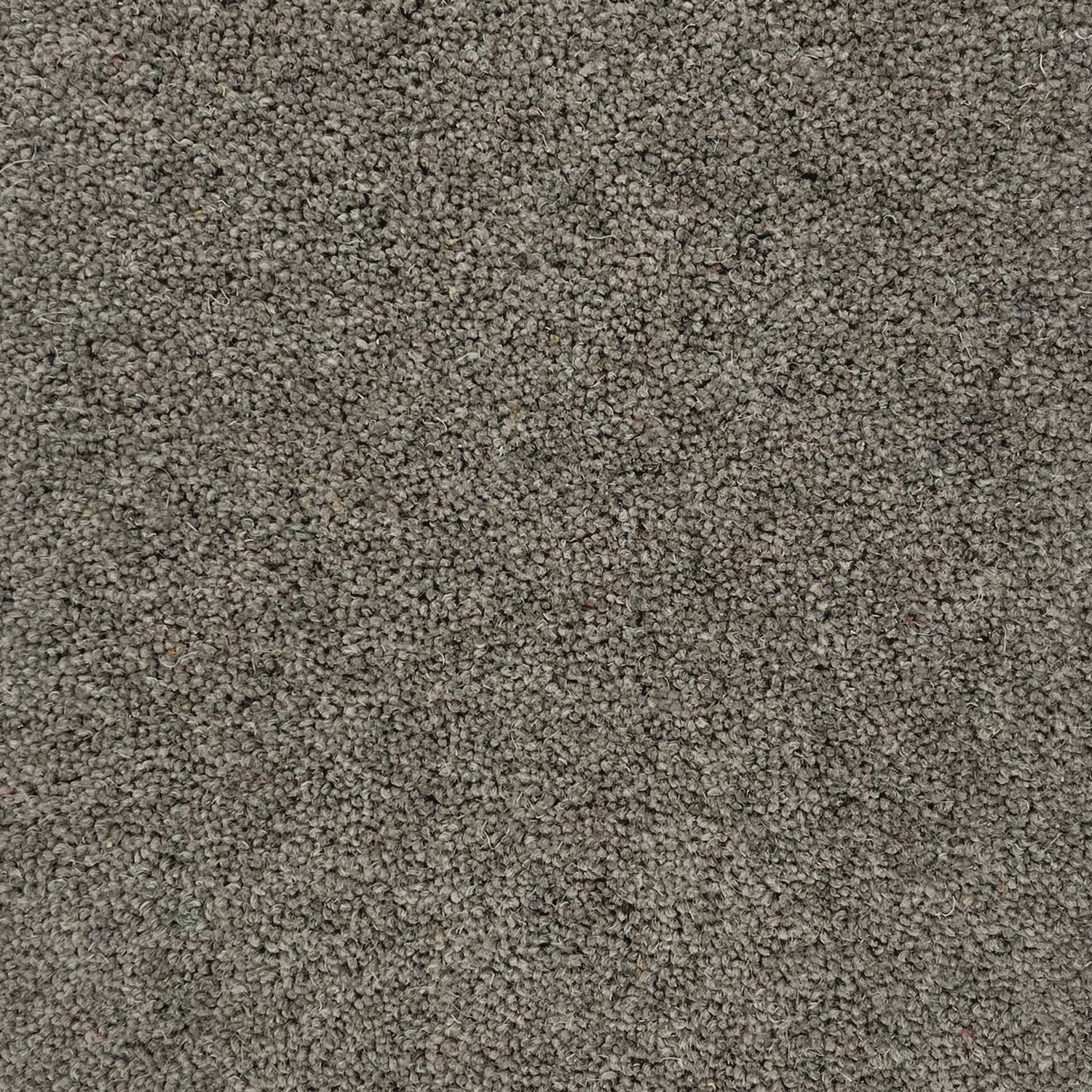 Hugh Mackay 50oz Durham Twist Elements 80% Wool Blend Twist Carpet