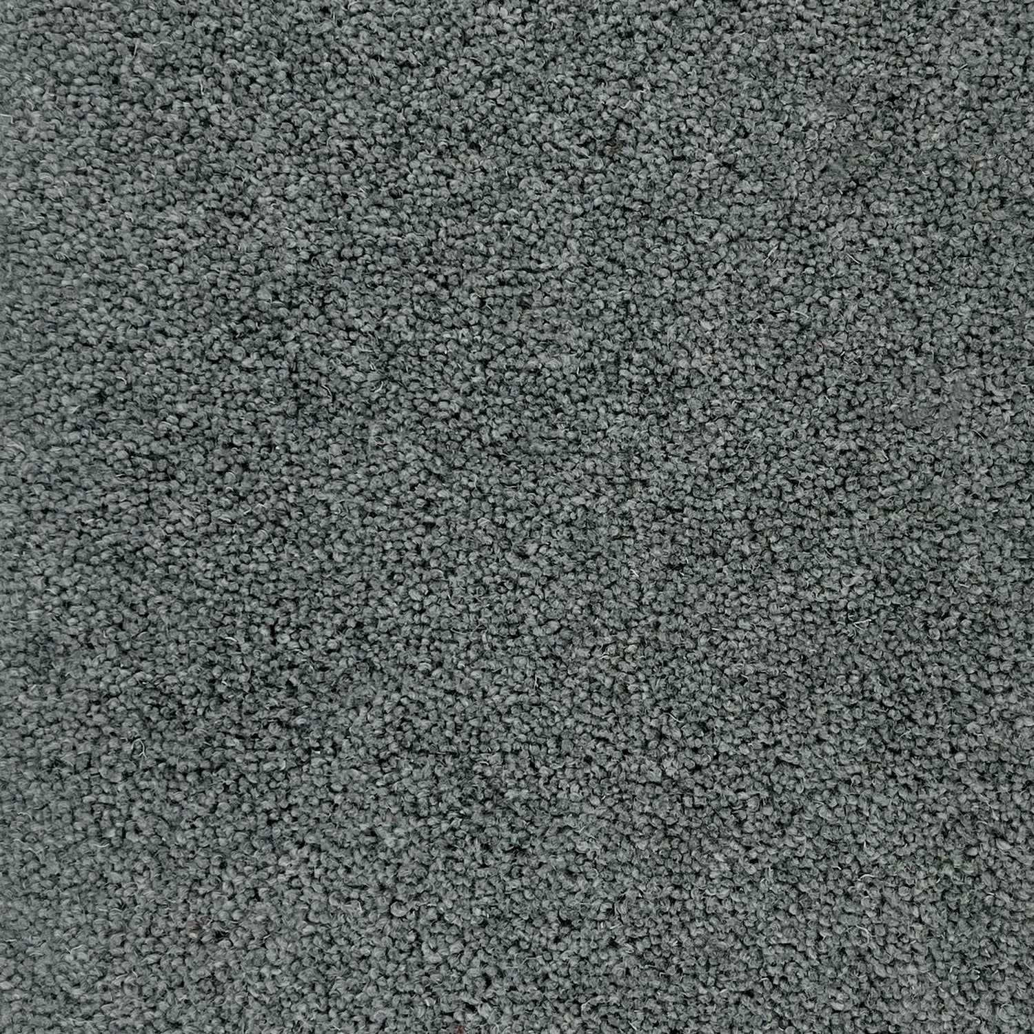 Hugh Mackay 50oz Durham Twist Elements 80% Wool Blend Twist Carpet