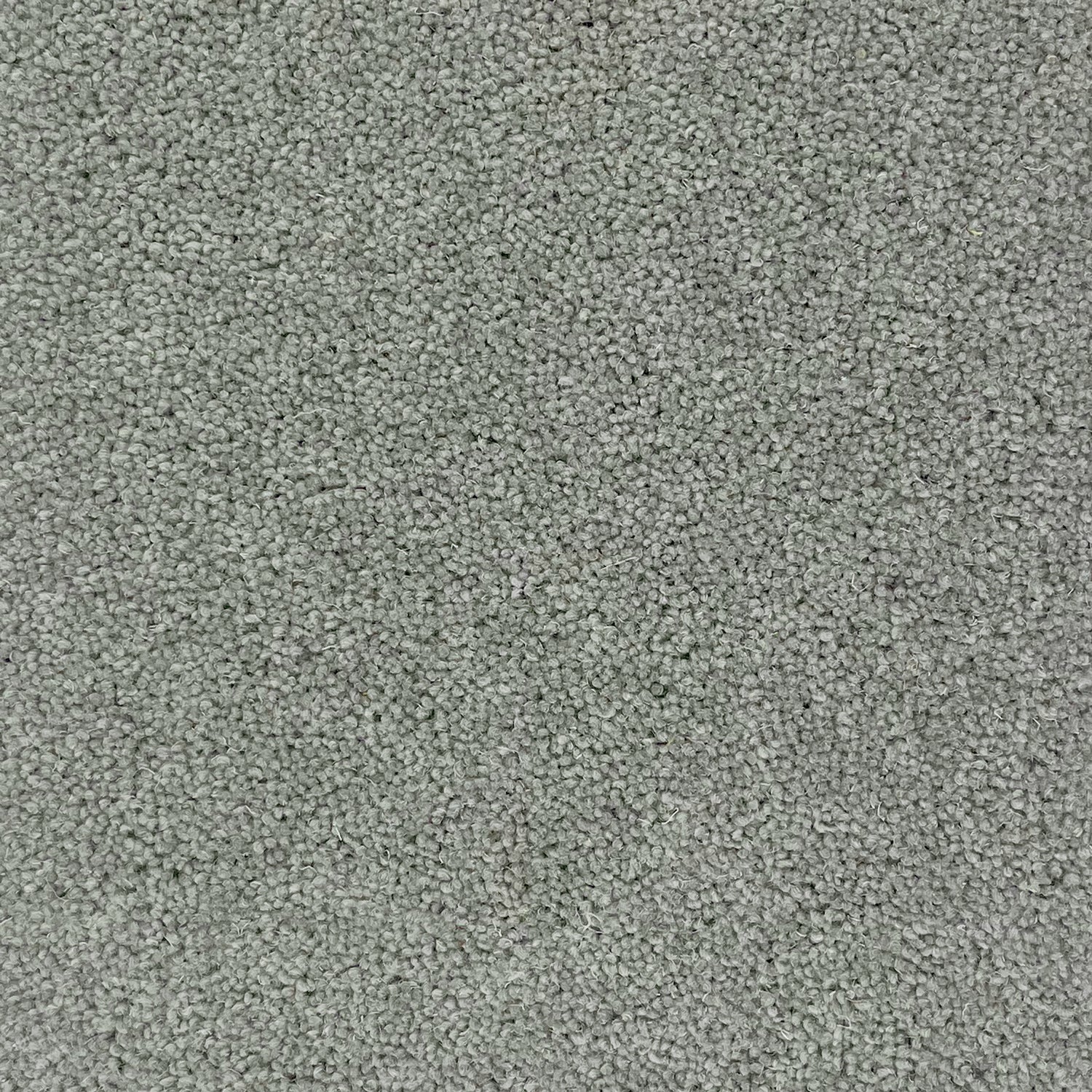 Hugh Mackay 50oz Durham Twist Elements 80% Wool Blend Twist Carpet