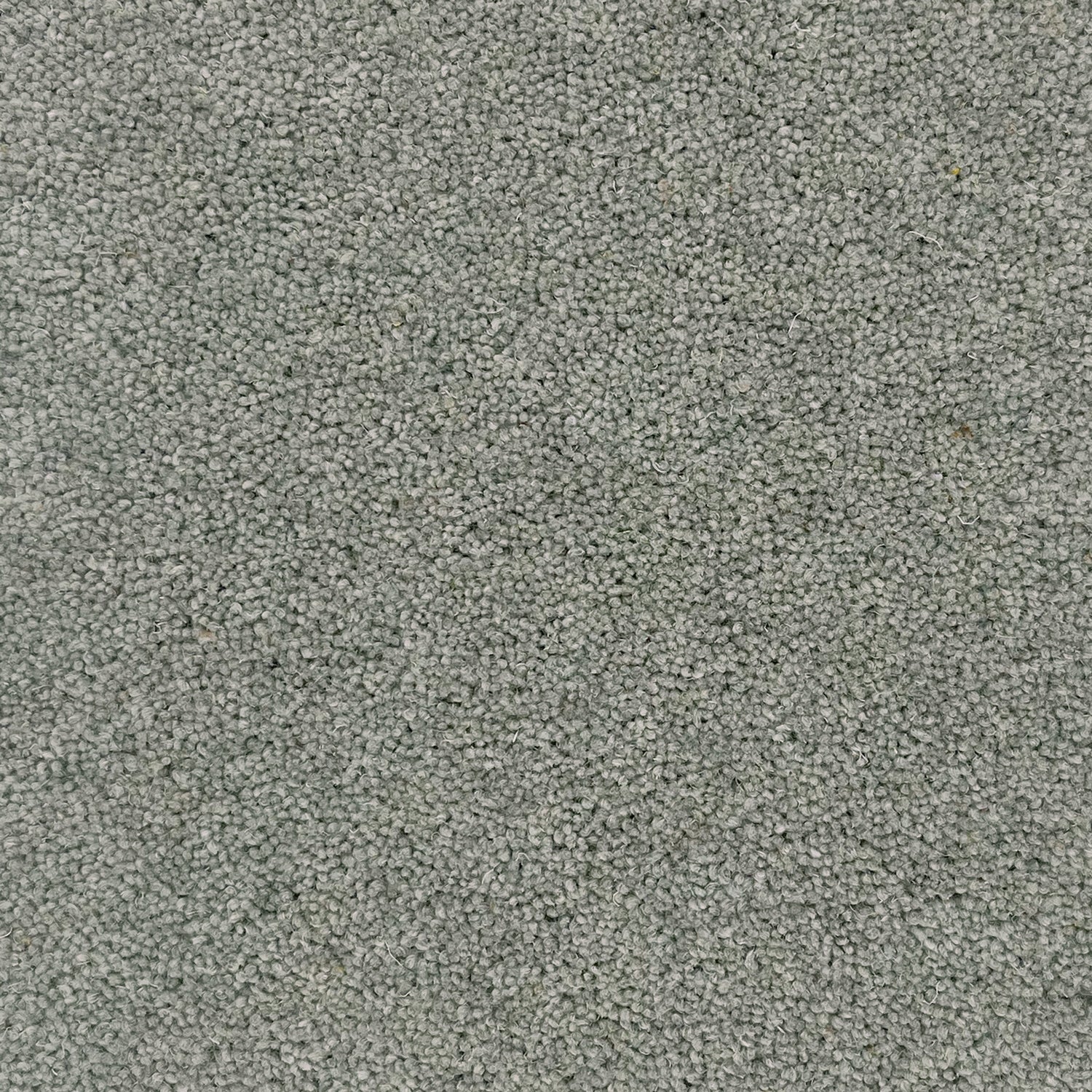 Hugh Mackay 50oz Durham Twist Elements 80% Wool Blend Twist Carpet