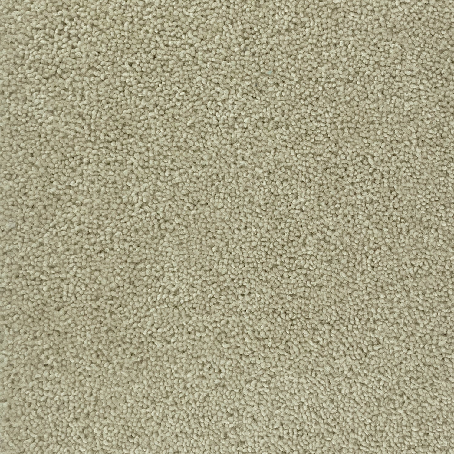 Hugh Mackay 50oz Durham Twist Naturals 80% Wool Blend Twist Carpet