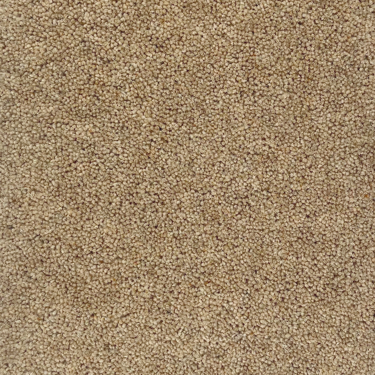 Hugh Mackay 50oz Durham Twist Naturals 80% Wool Blend Twist Carpet