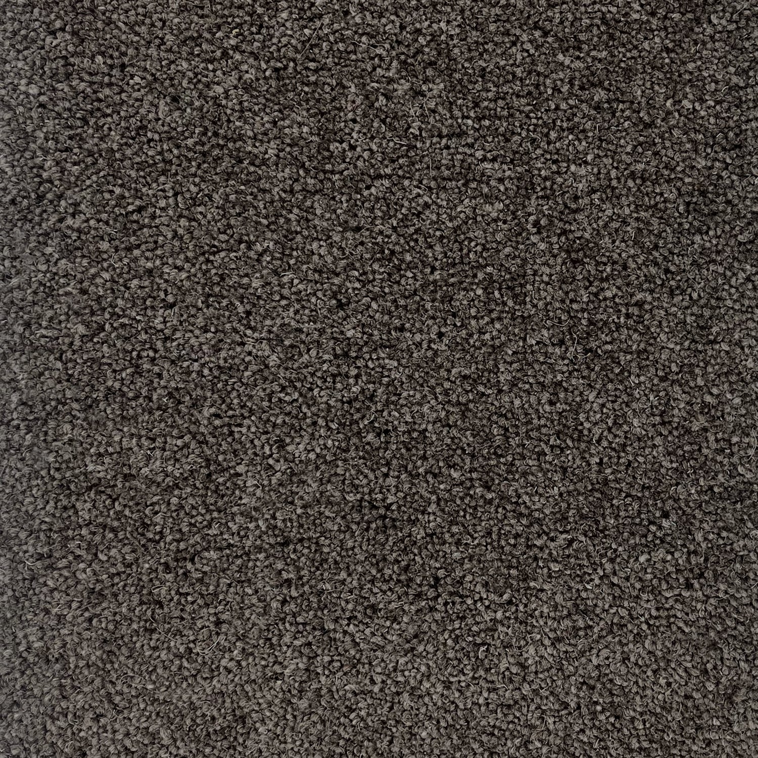 Hugh Mackay 50oz Durham Twist Naturals 80% Wool Blend Twist Carpet