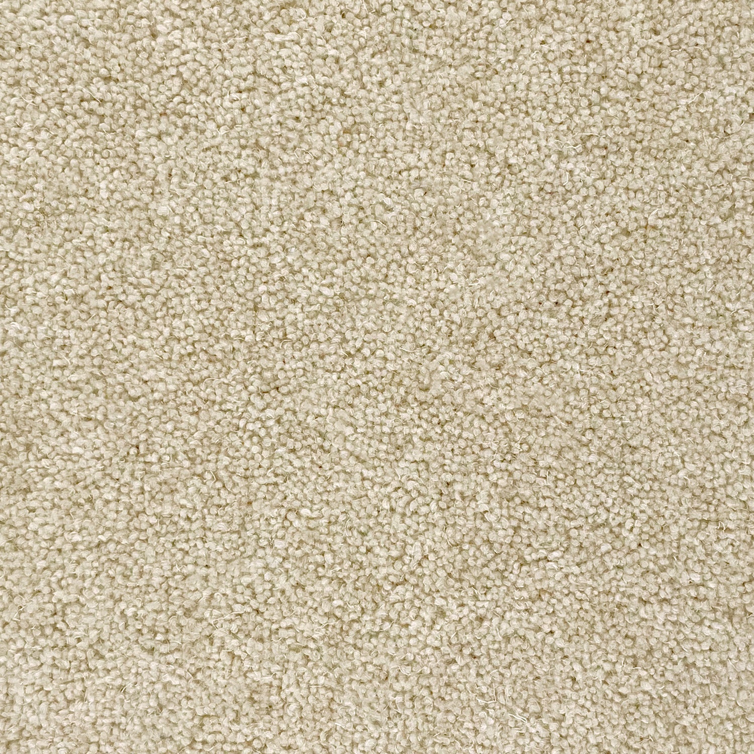 Hugh Mackay 50oz Durham Twist Naturals 80% Wool Blend Twist Carpet