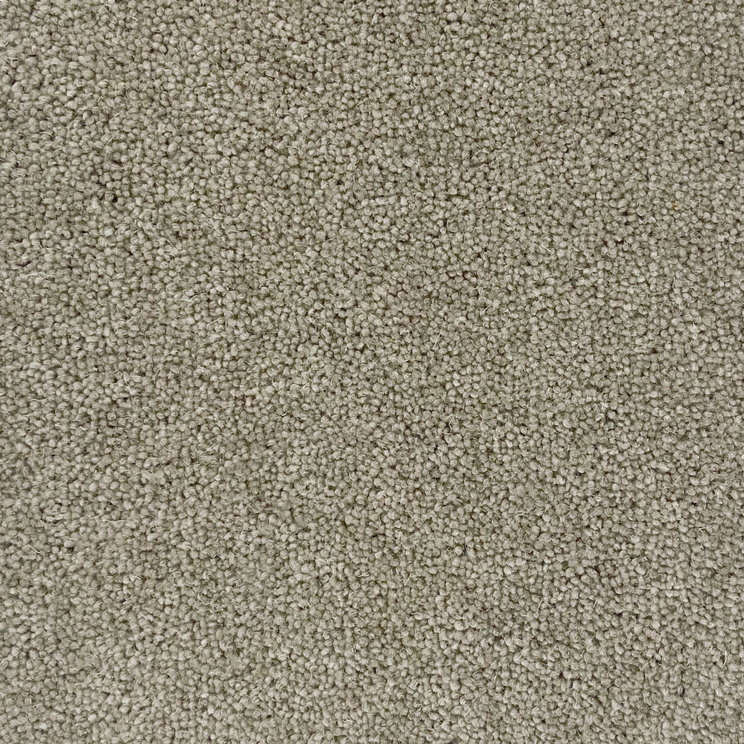 Hugh Mackay 50oz Durham Twist Naturals 80% Wool Blend Twist Carpet