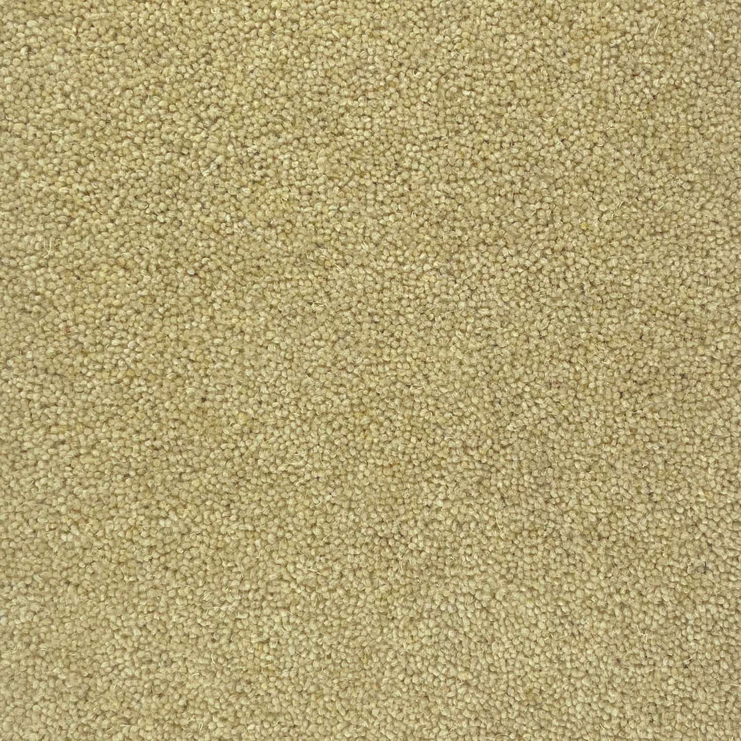 Hugh Mackay 40oz Durham Twist Naturals 80% Wool Blend Twist Carpet