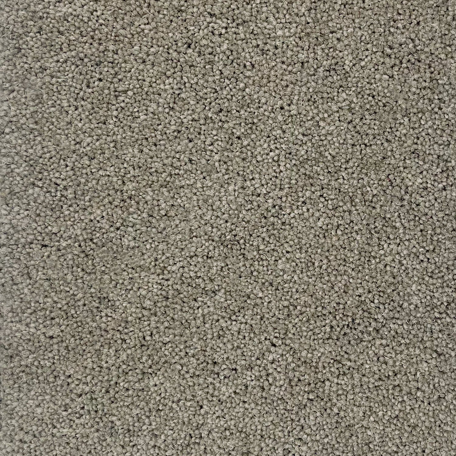 Hugh Mackay 50oz Durham Twist Naturals 80% Wool Blend Twist Carpet