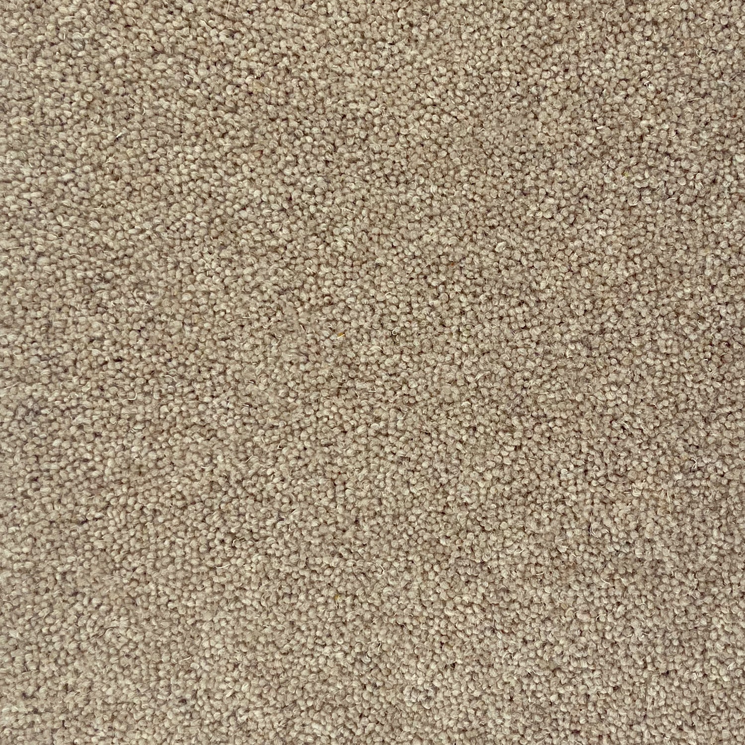 Hugh Mackay 50oz Durham Twist Naturals 80% Wool Blend Twist Carpet