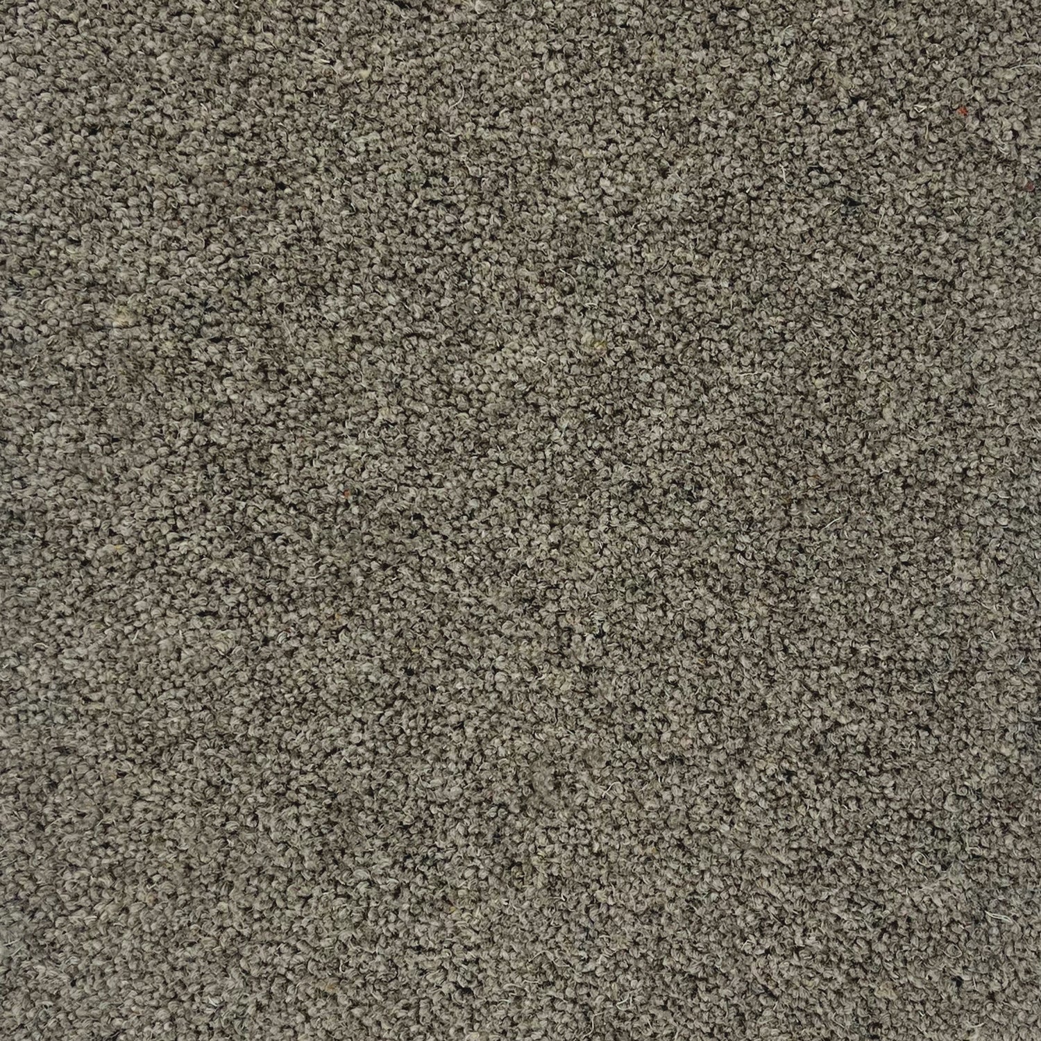 Hugh Mackay 40oz Durham Twist Naturals 80% Wool Blend Twist Carpet