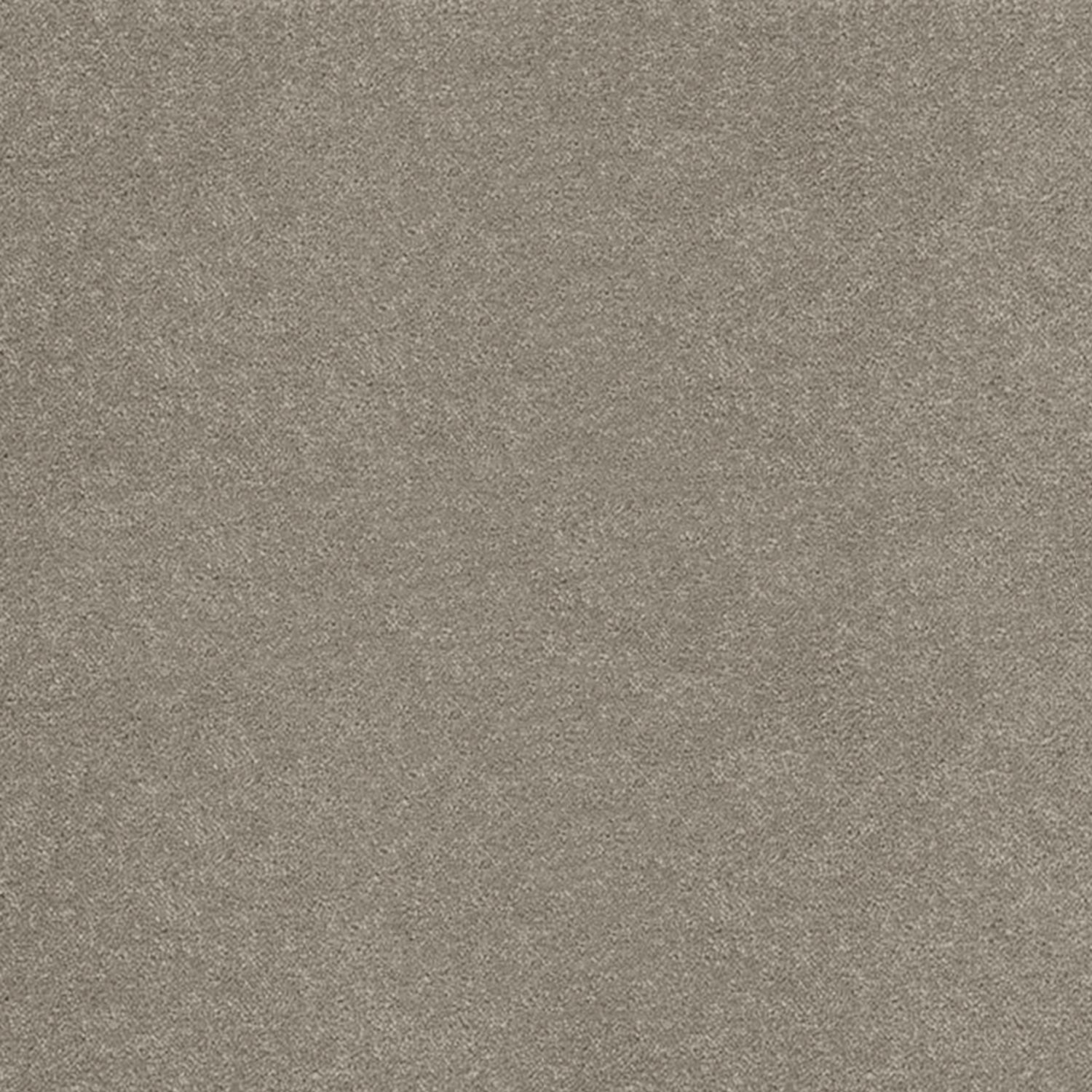 Hugh Mackay Highgate Finesse Saxony Carpet