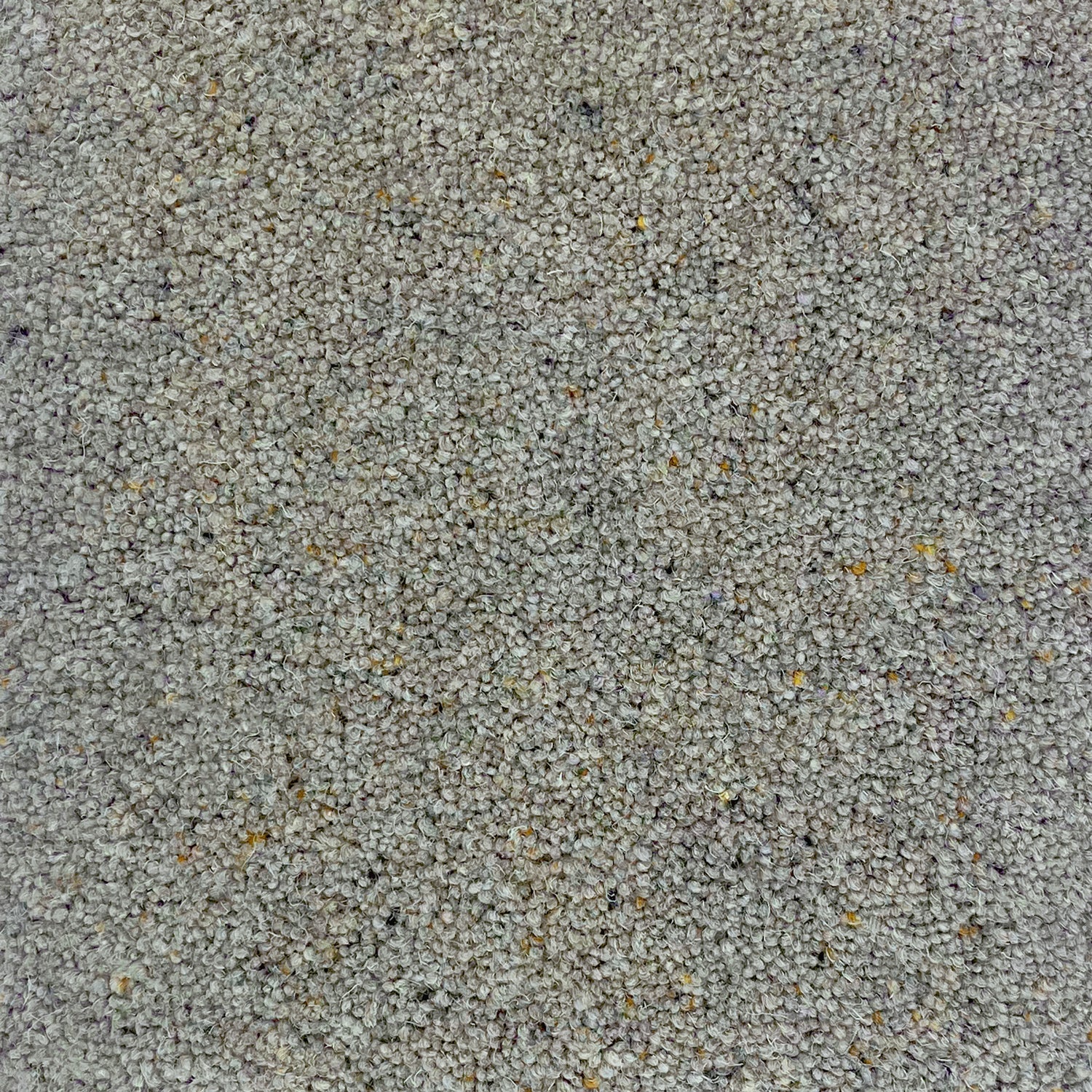 Hugh Mackay 55oz Swaledale 80% Wool Blend Twist Carpet