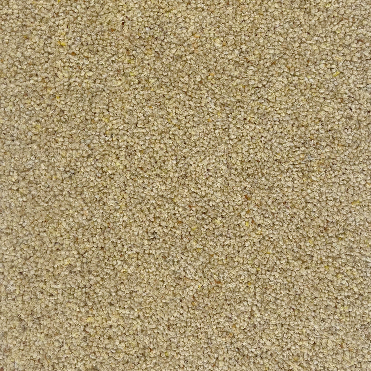 Hugh Mackay 55oz Swaledale 80% Wool Blend Twist Carpet