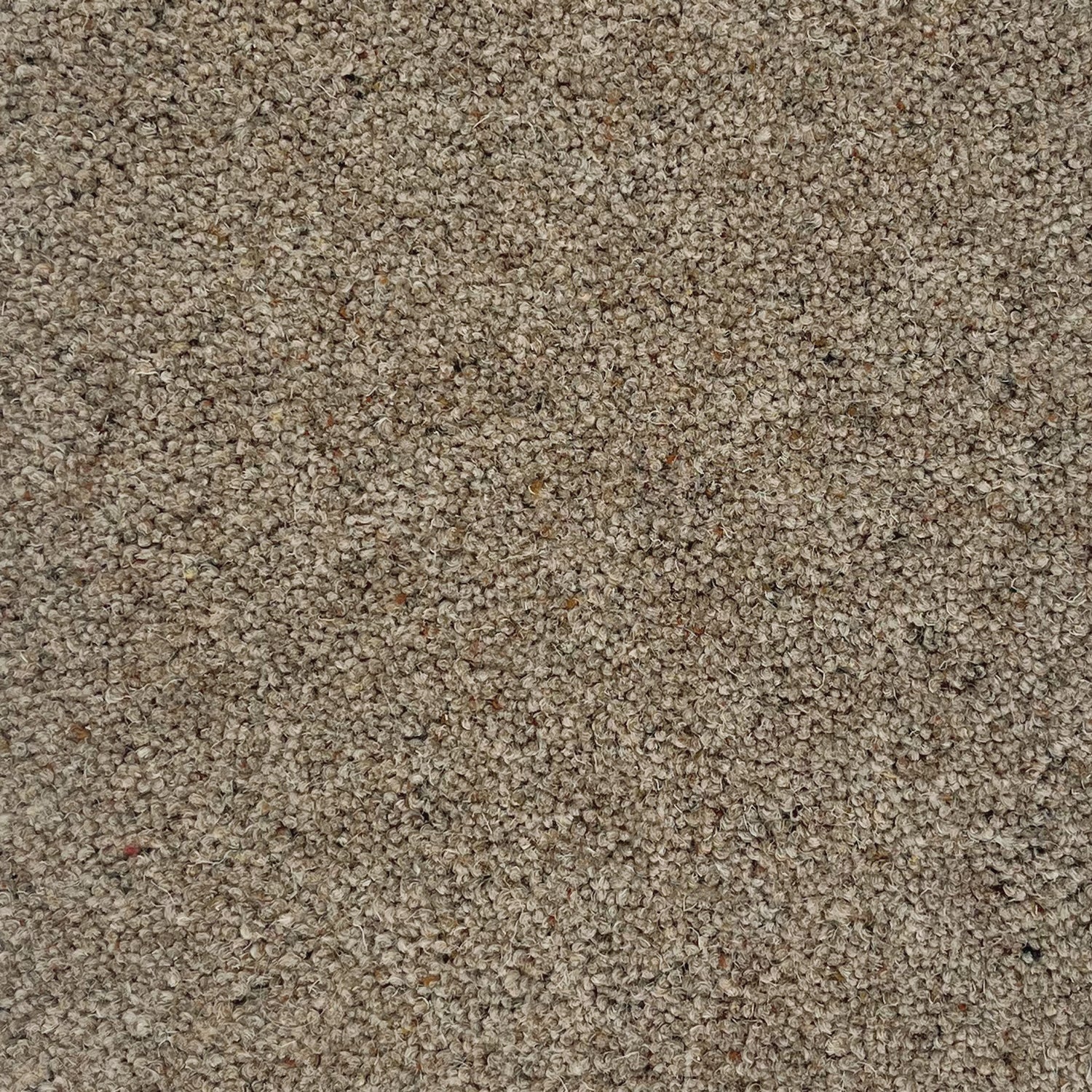 Hugh Mackay 55oz Swaledale 80% Wool Blend Twist Carpet