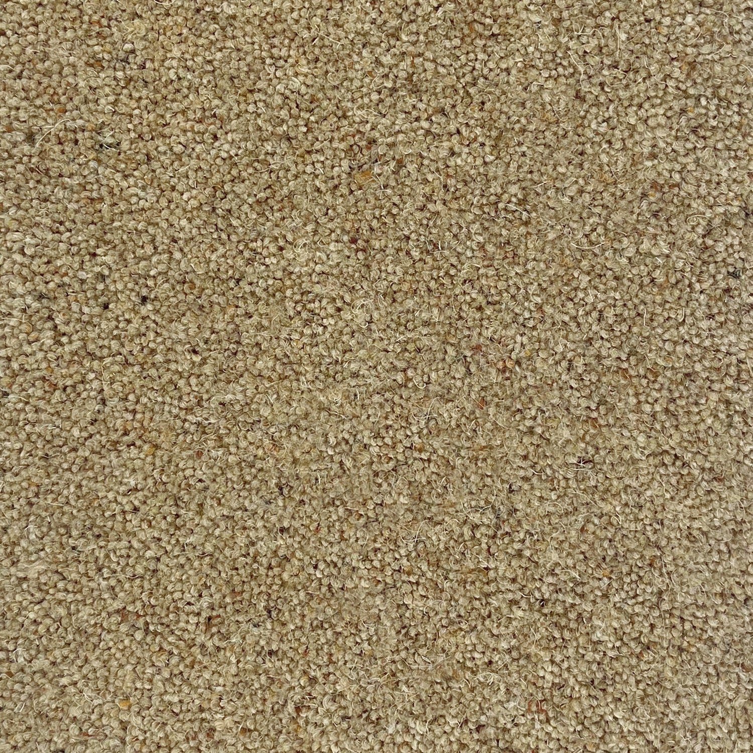 Hugh Mackay 55oz Swaledale 80% Wool Blend Twist Carpet