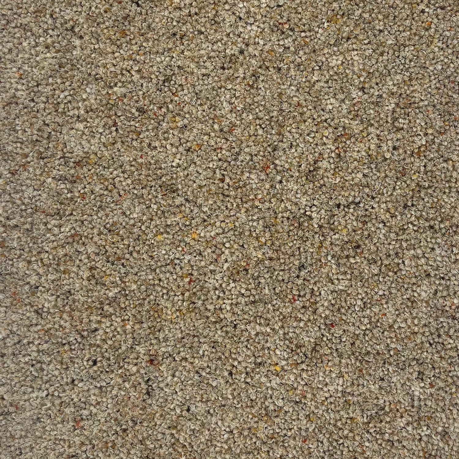 Hugh Mackay 55oz Swaledale 80% Wool Blend Twist Carpet