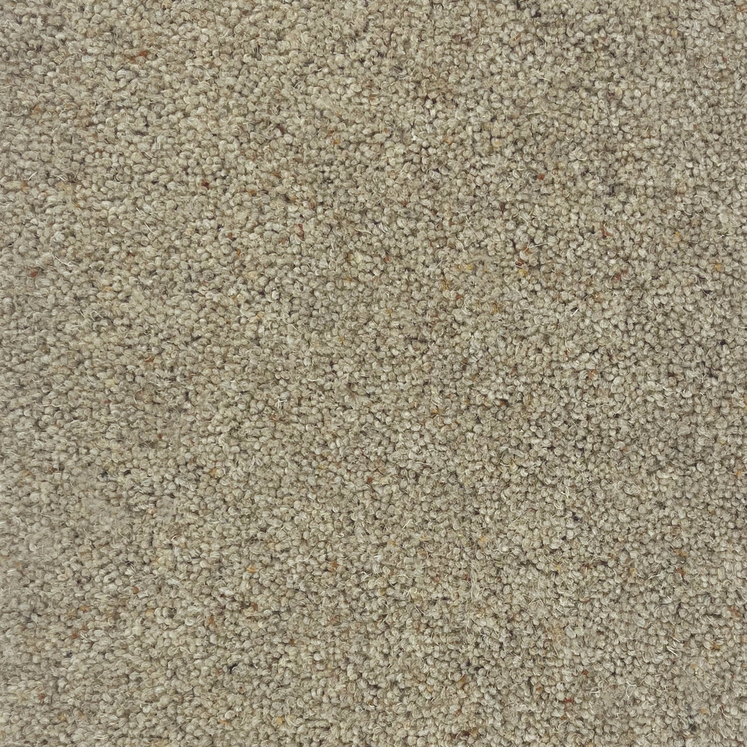 Hugh Mackay 55oz Swaledale 80% Wool Blend Twist Carpet